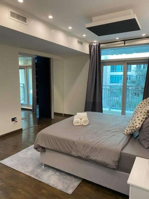 BEAUTIFUL AND COZY 2 BR APARTMENT IN THE HEART OF DOWNTOWN