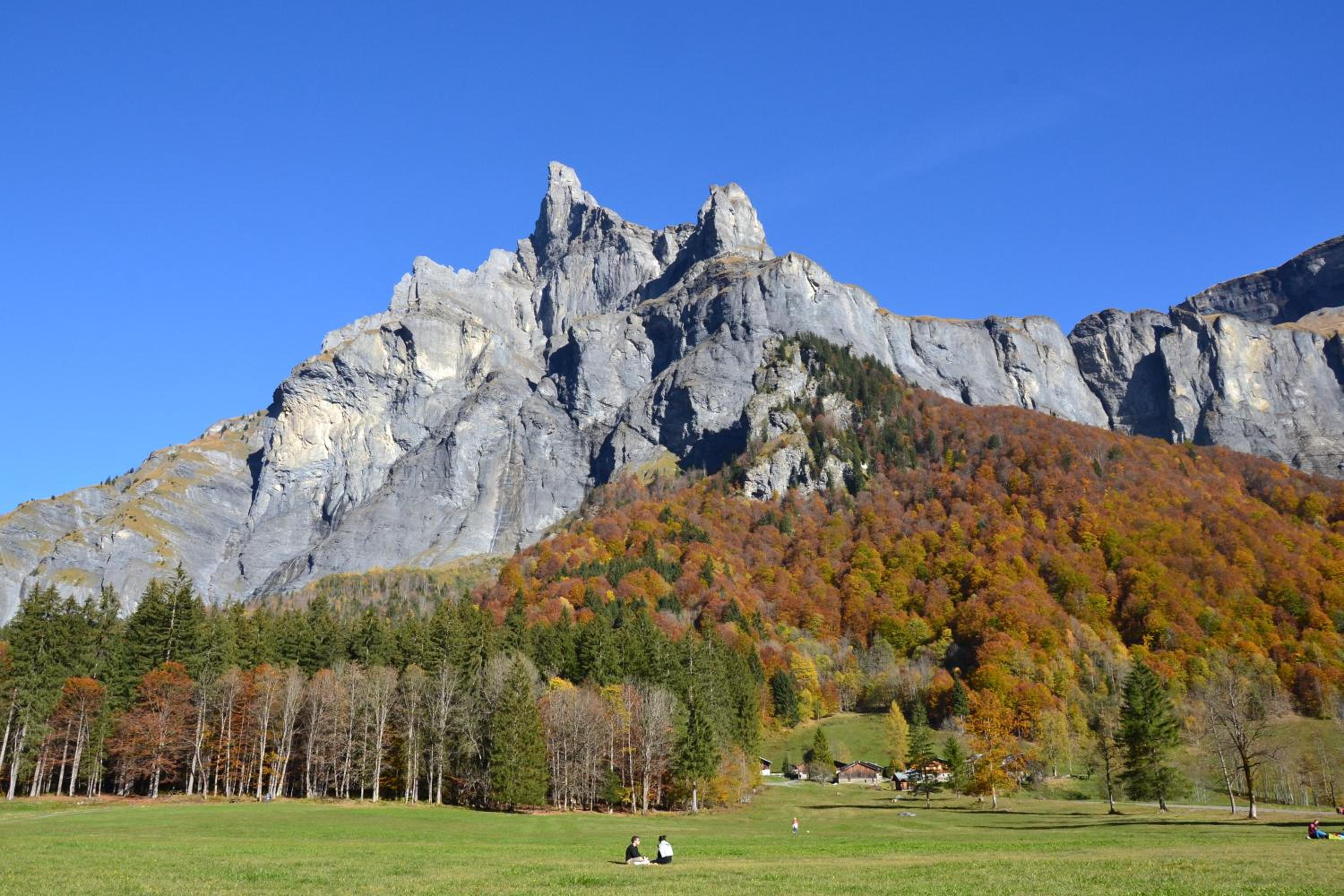 Chalet Narcisse view 5