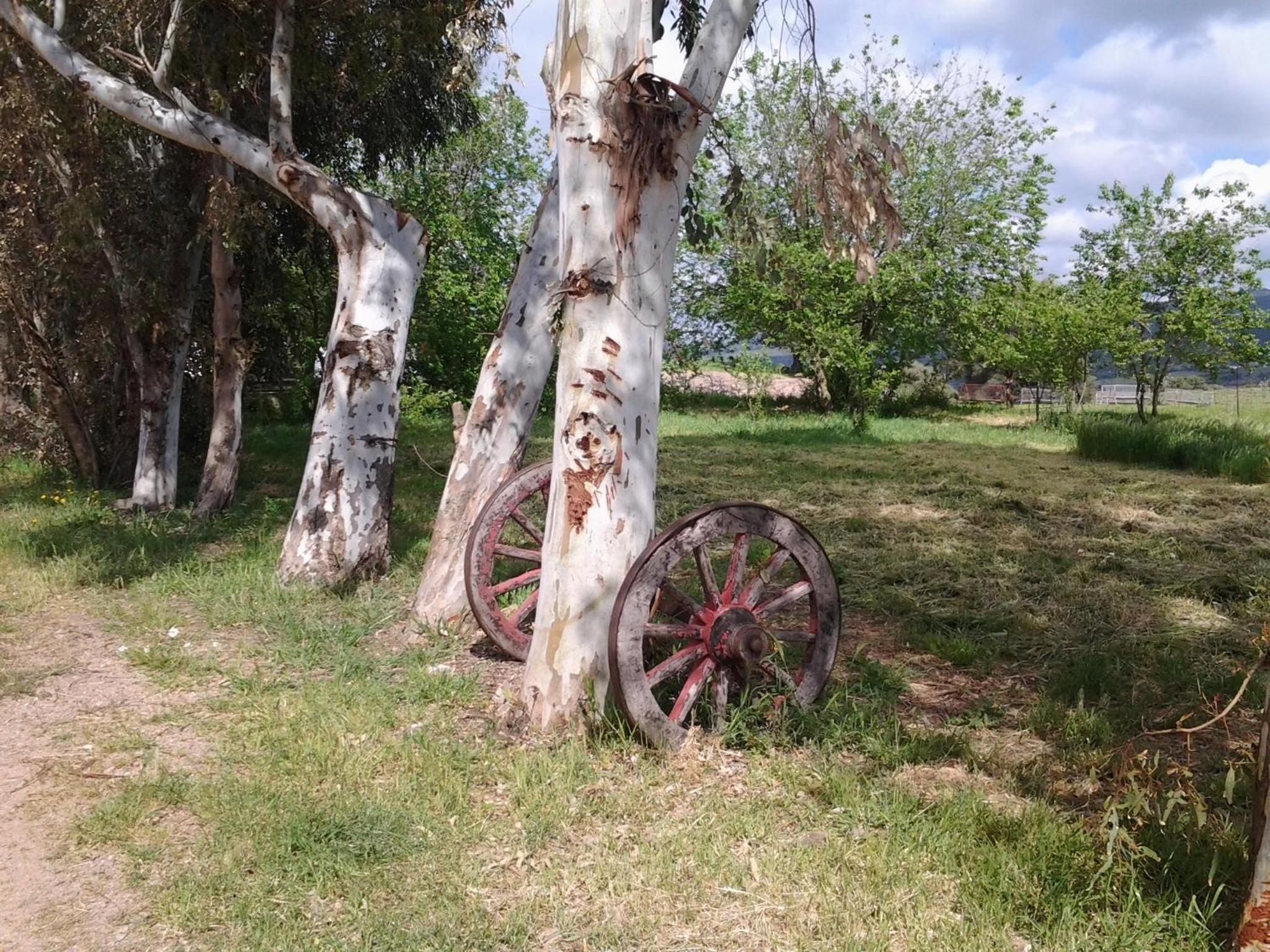 Photo 13