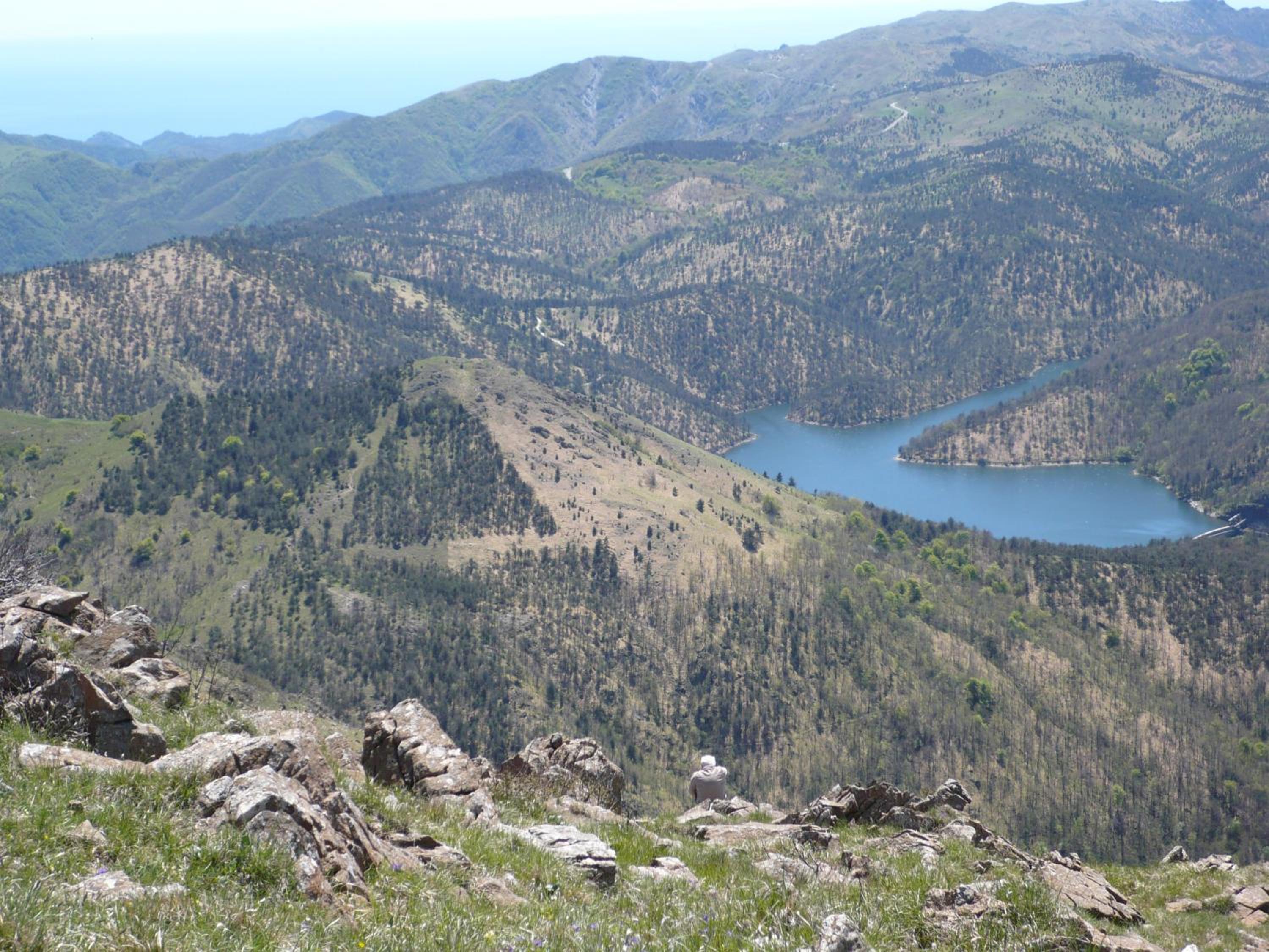 Casa Bosio