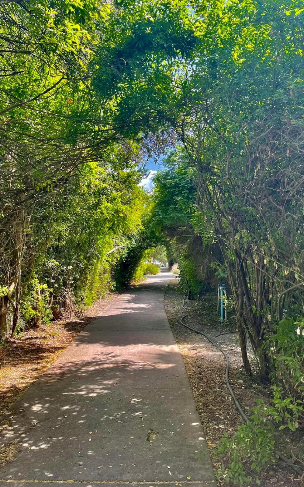 Eden Garden in Yokneam Moshava view 3