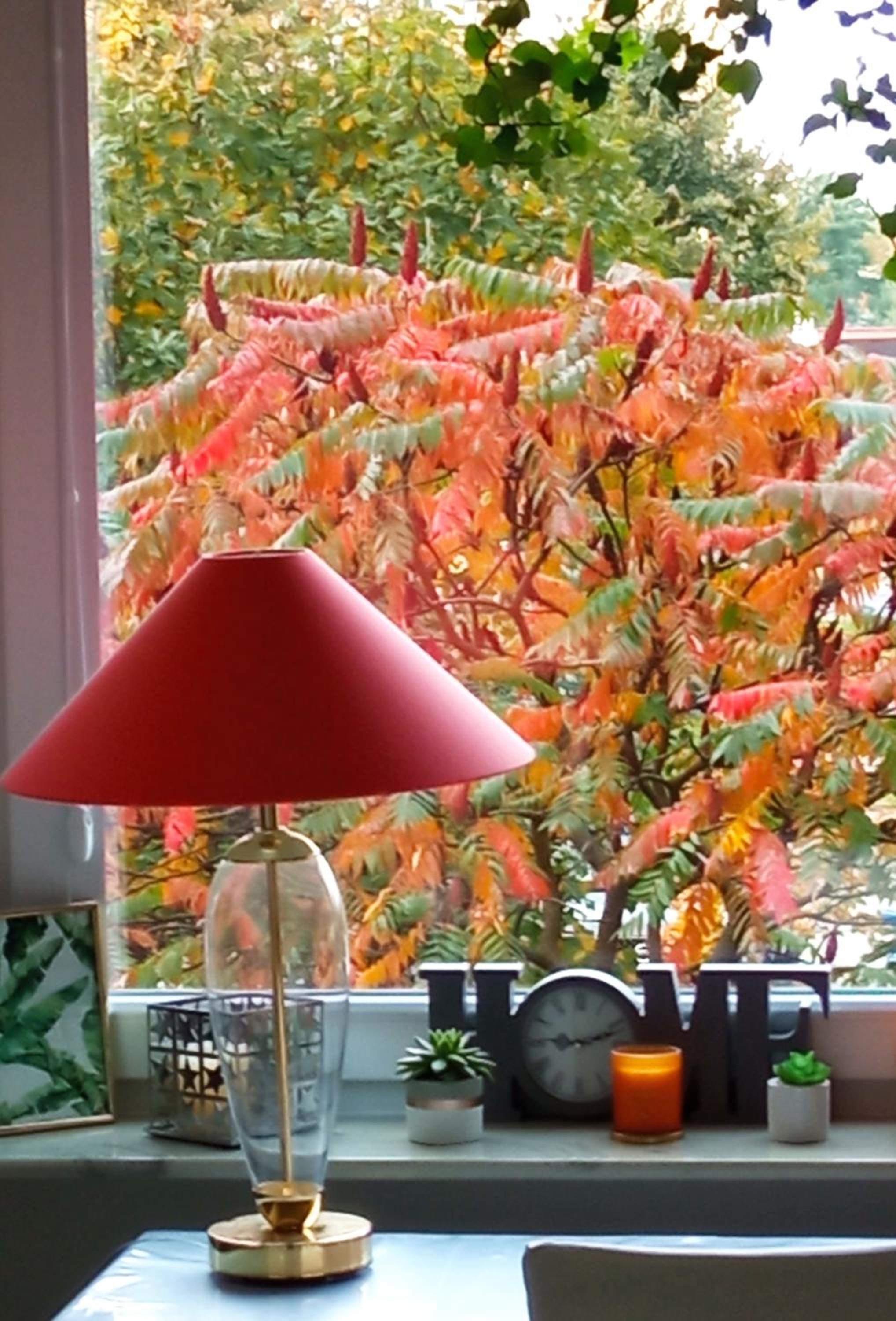 Apartament Bonito view 4