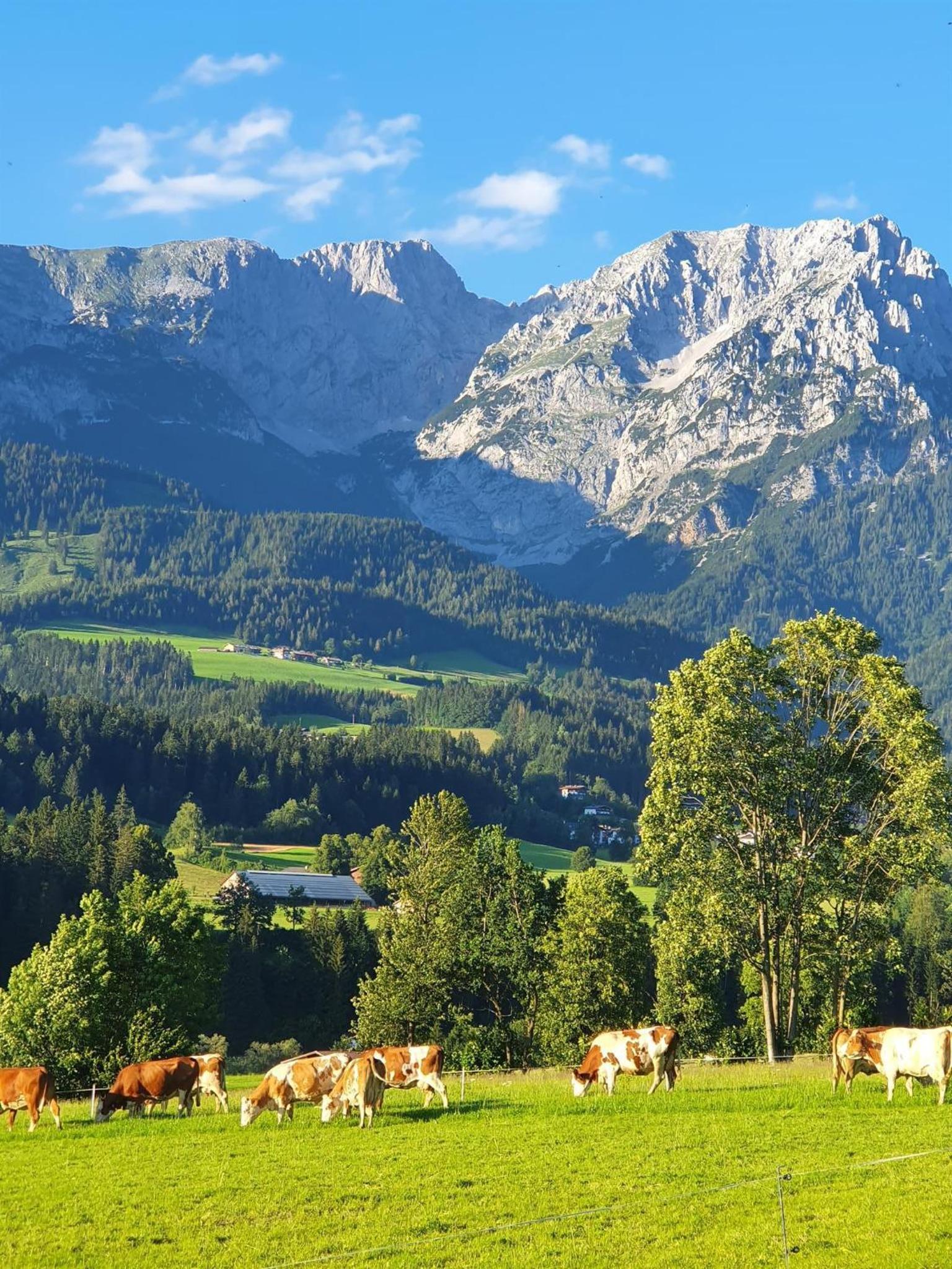 Bauernhof Neu-Endfelden, Günter Widauer