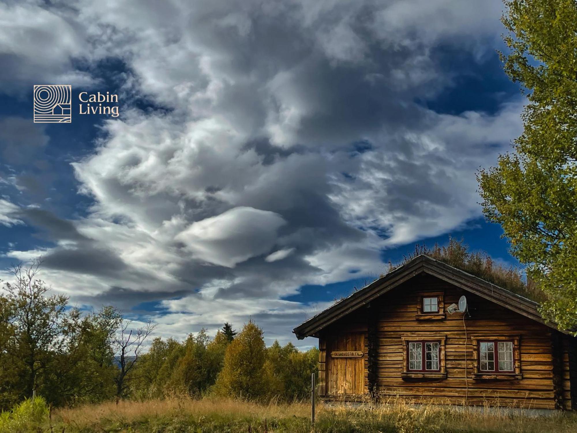 Solid and cozy cottage in a secluded location view 2