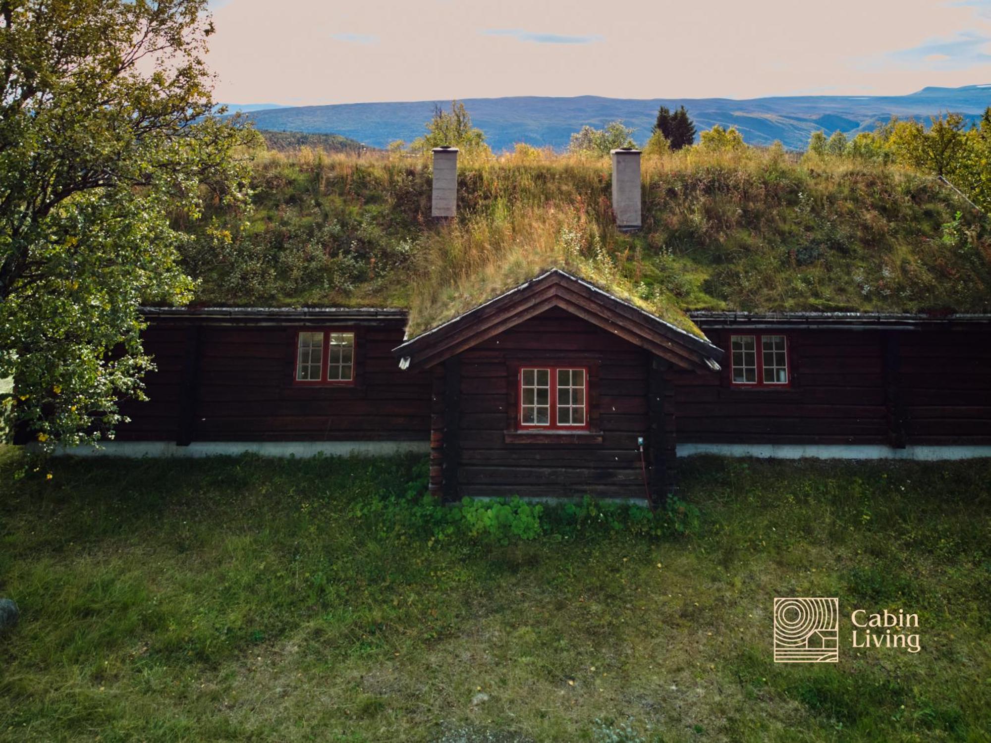 Solid and cozy cottage in a secluded location