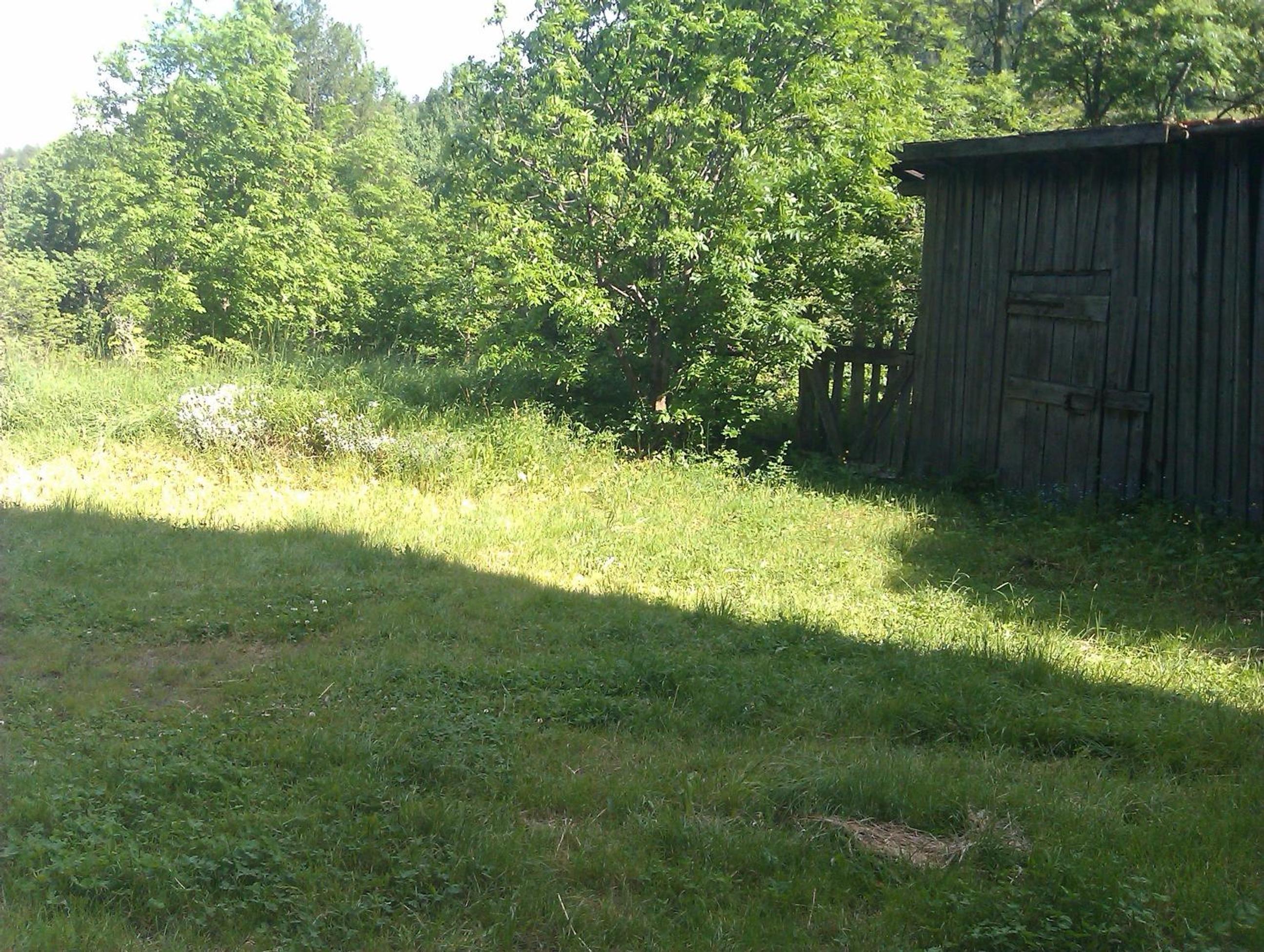 Photo 23