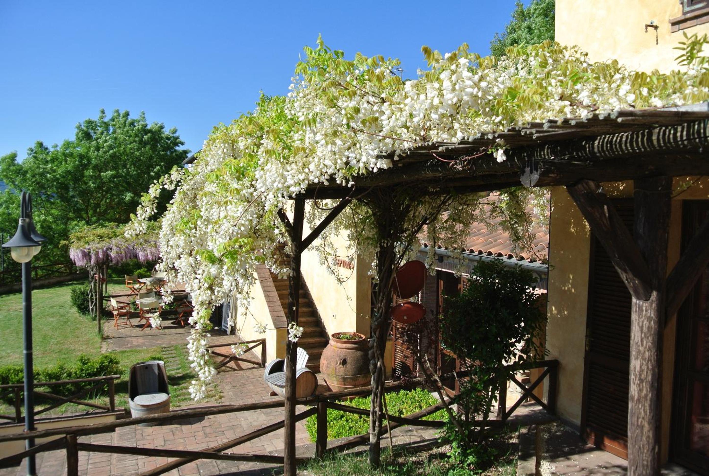 Borgo di Monte Murlo