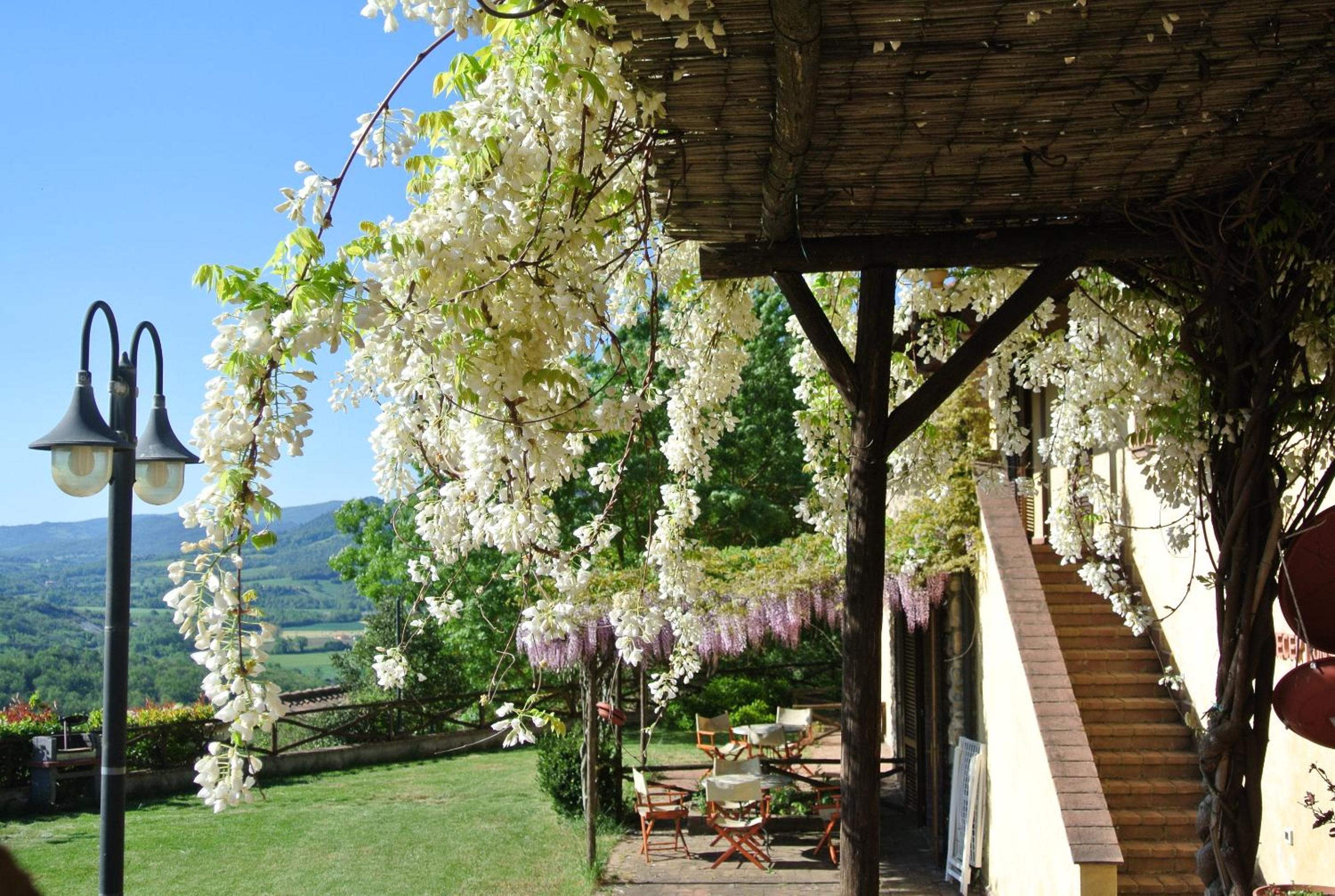 Borgo di Monte Murlo