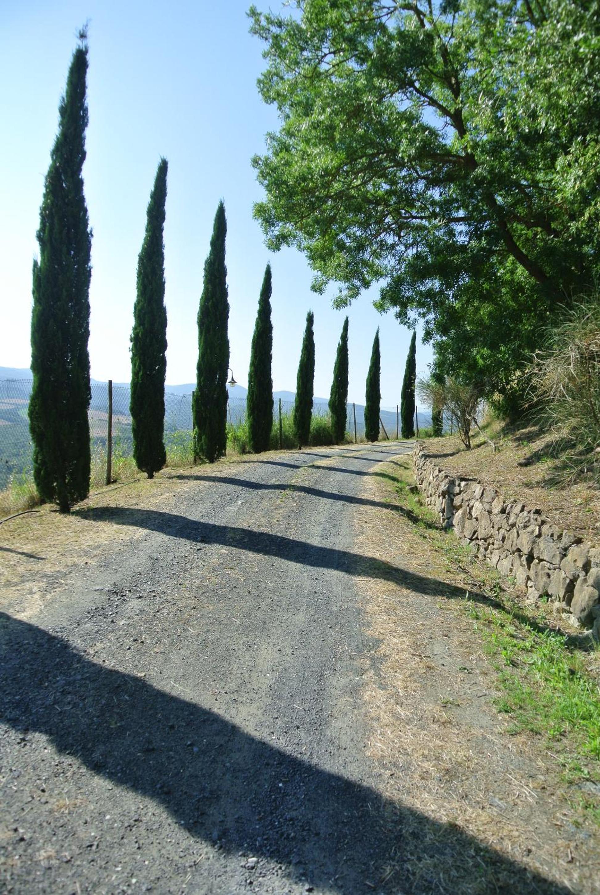 Borgo di Monte Murlo