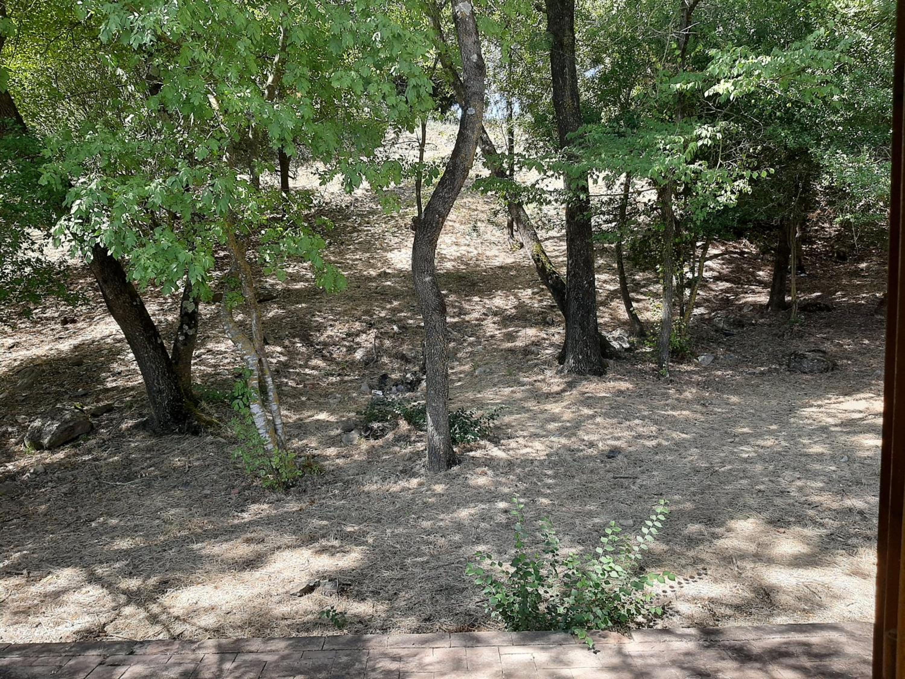 Borgo di Monte Murlo