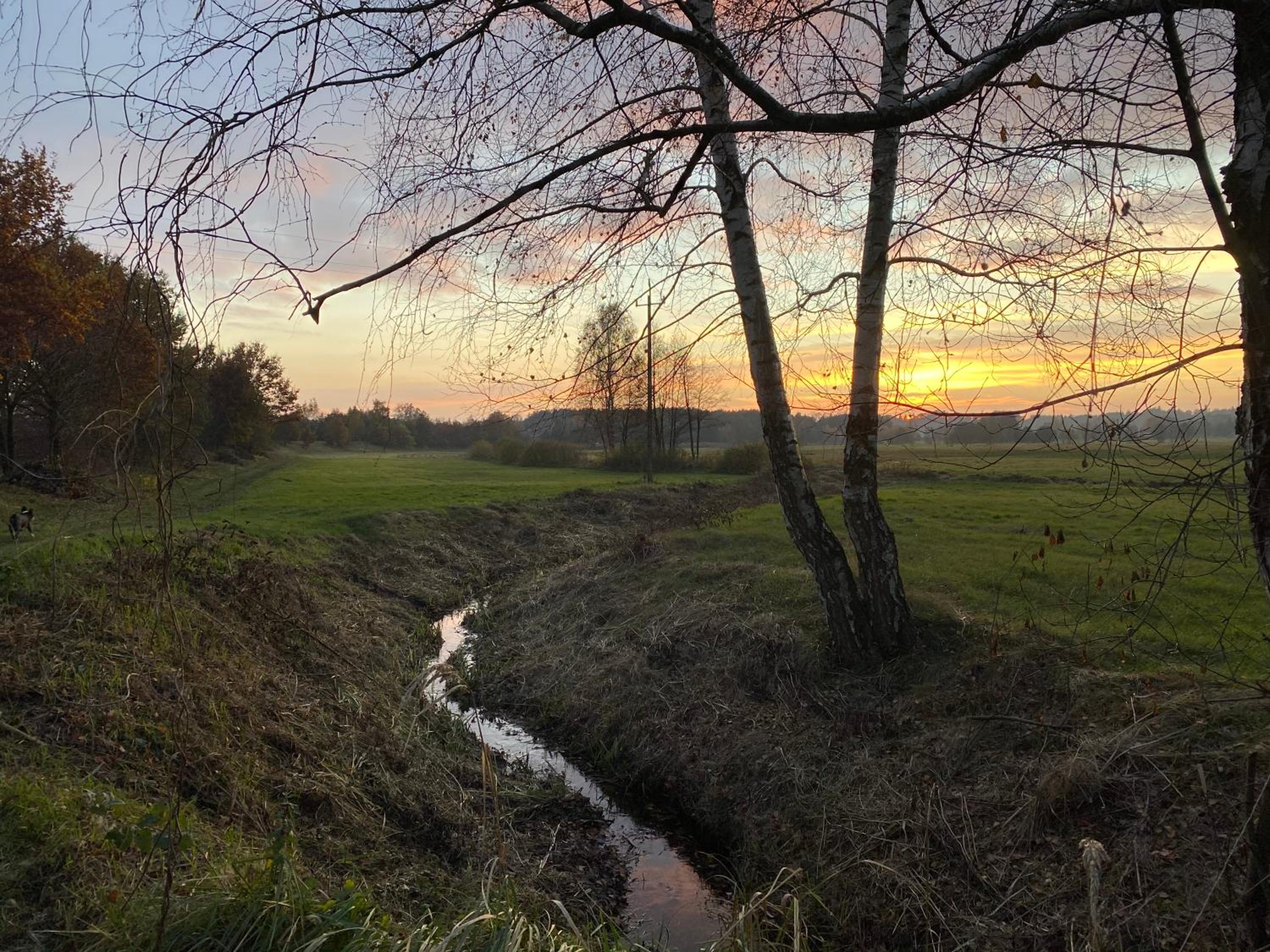 Domek Kruczy Borek