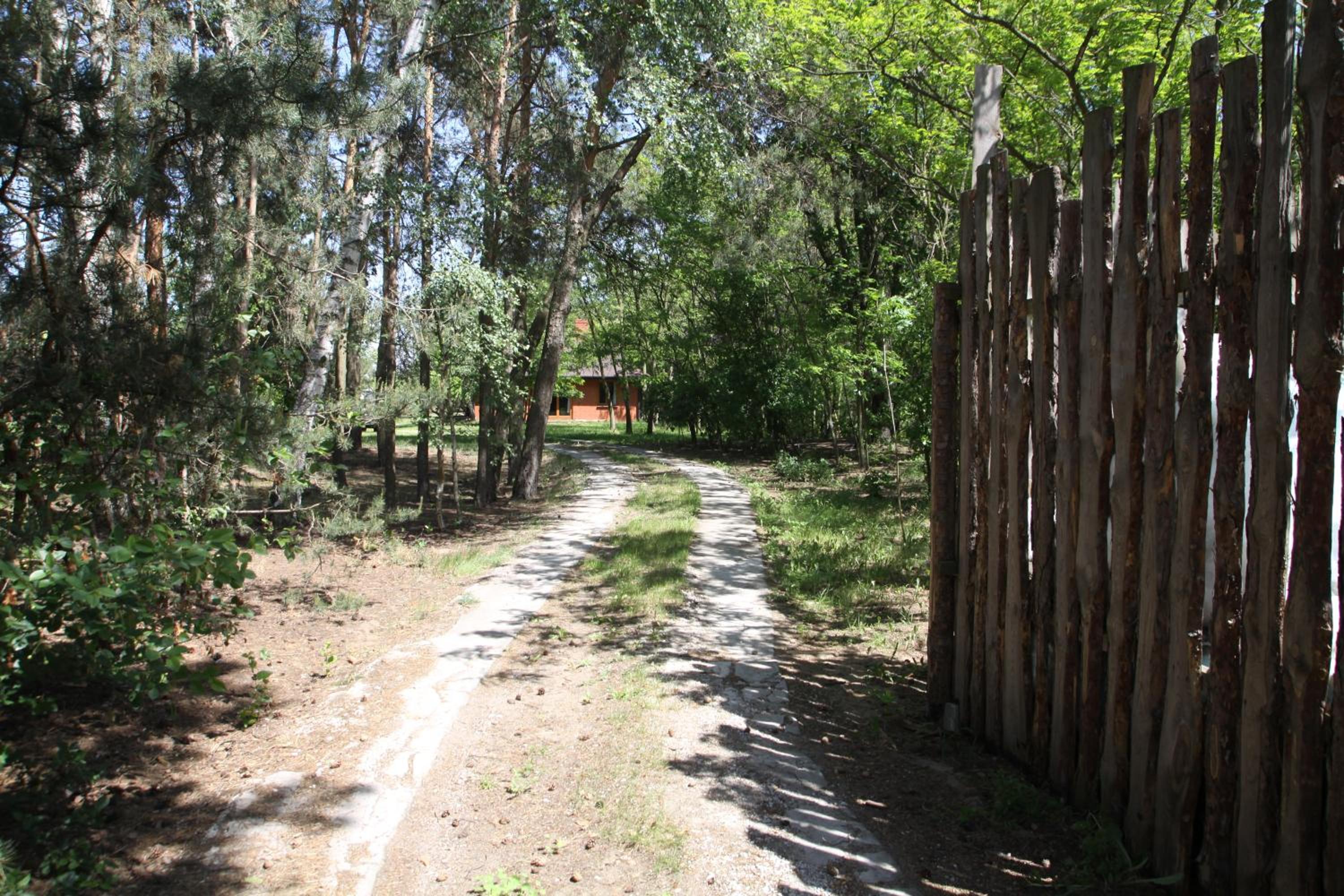 Photo 45