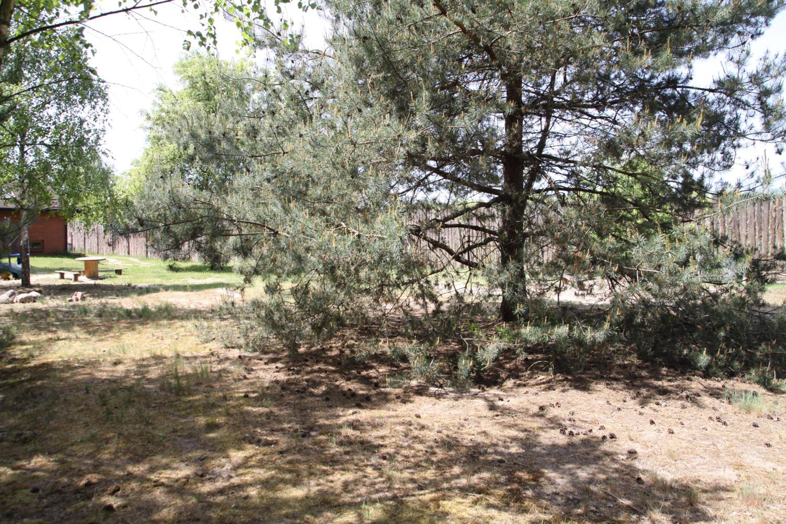 Photo 53