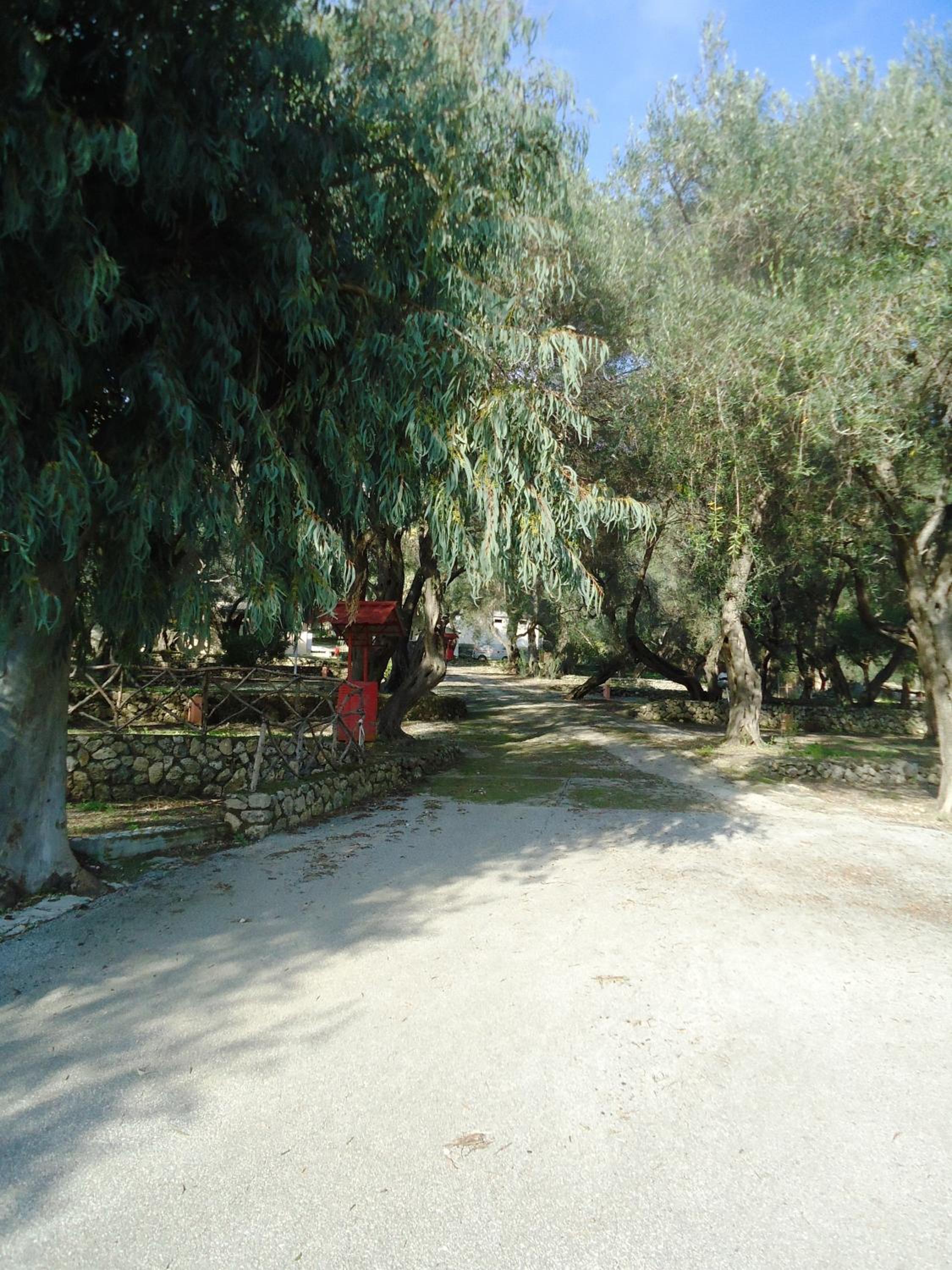 Photo 33