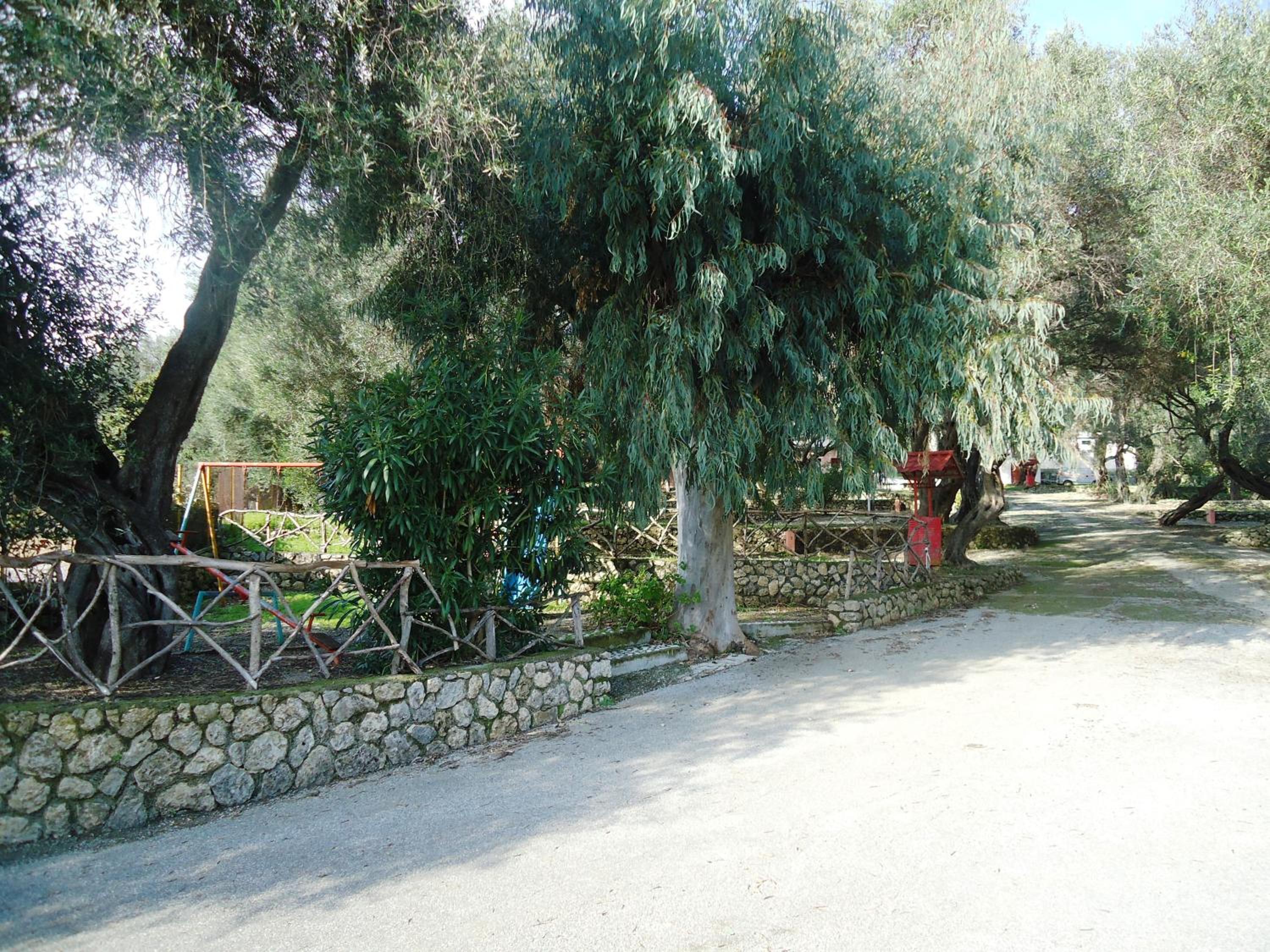 Photo 35