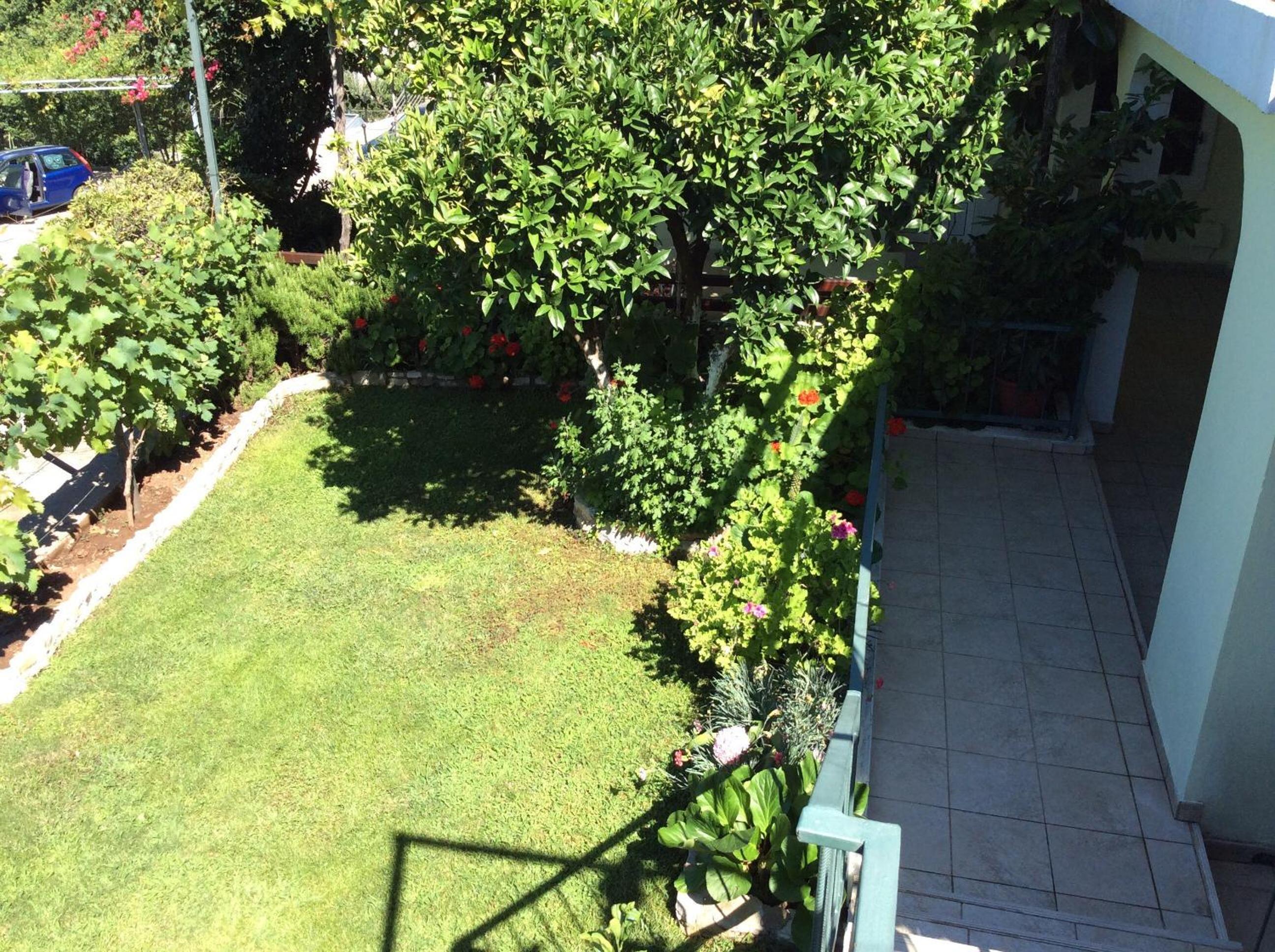 Photo 48