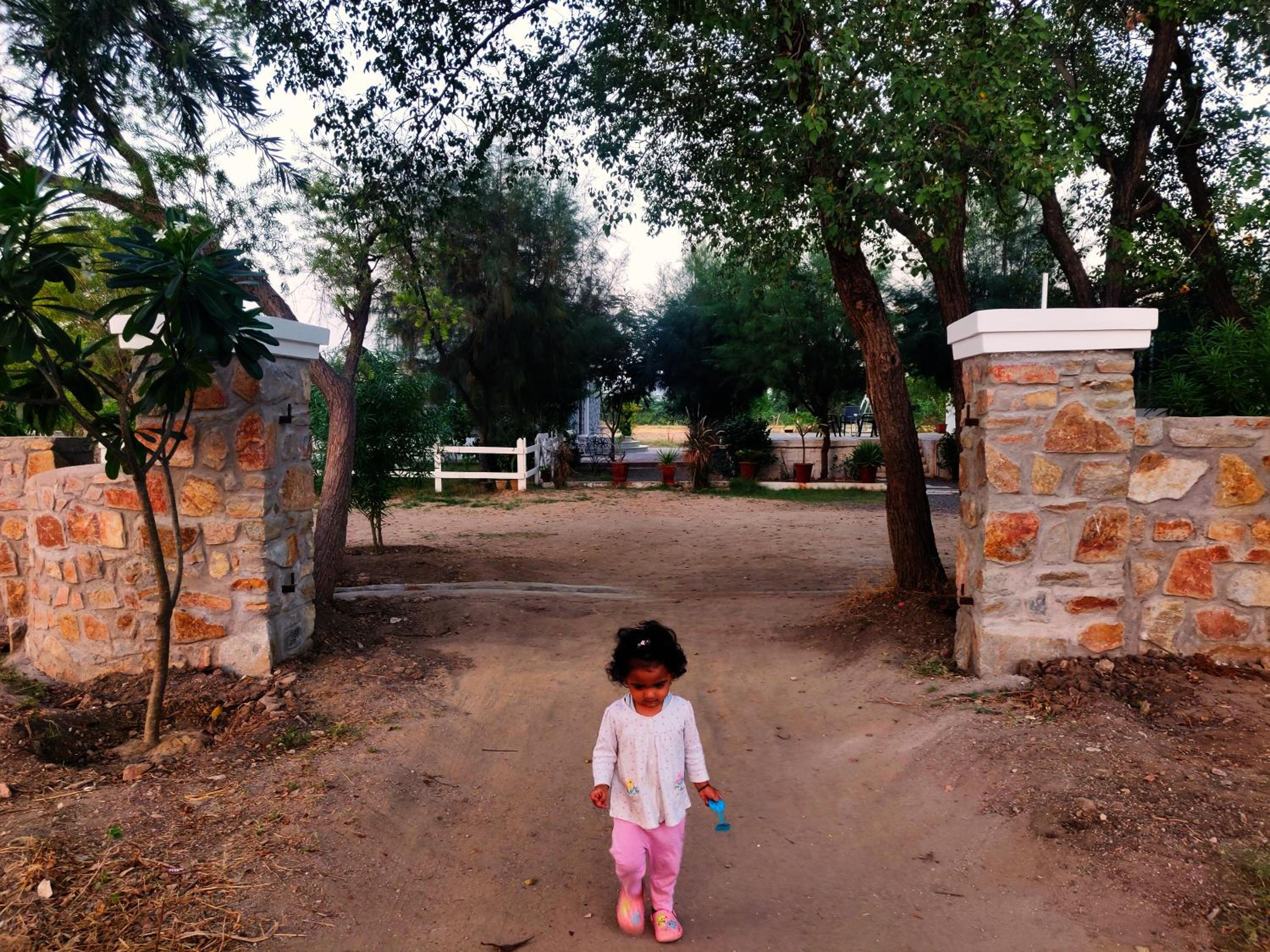Vriksh Jawai The farm stay