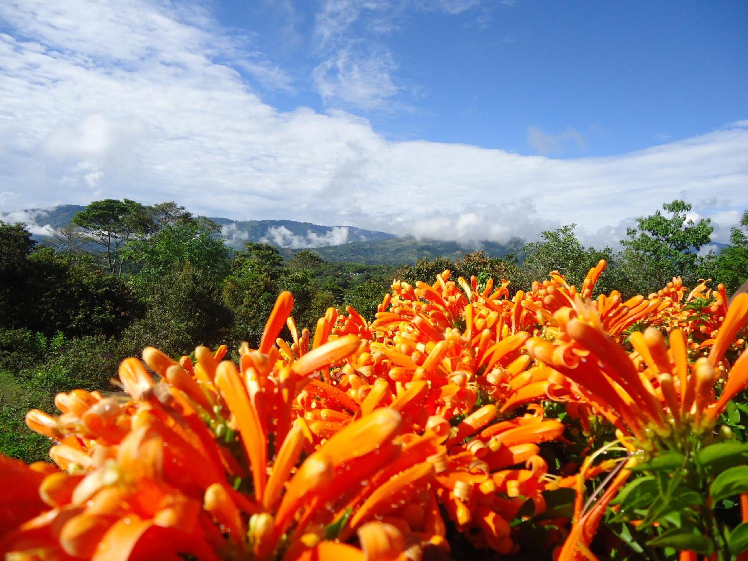 Hostal Pachamama