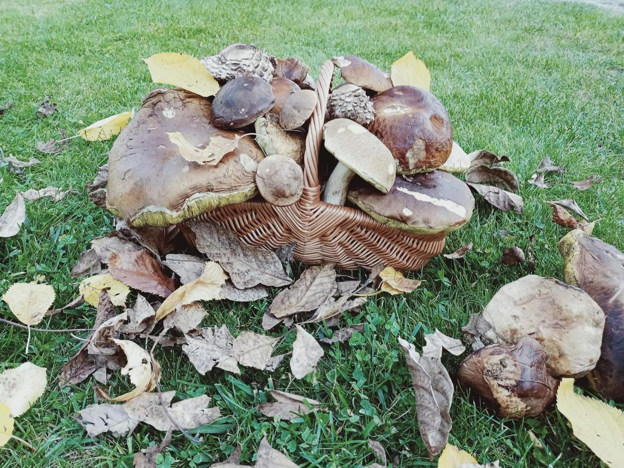 Photo 14