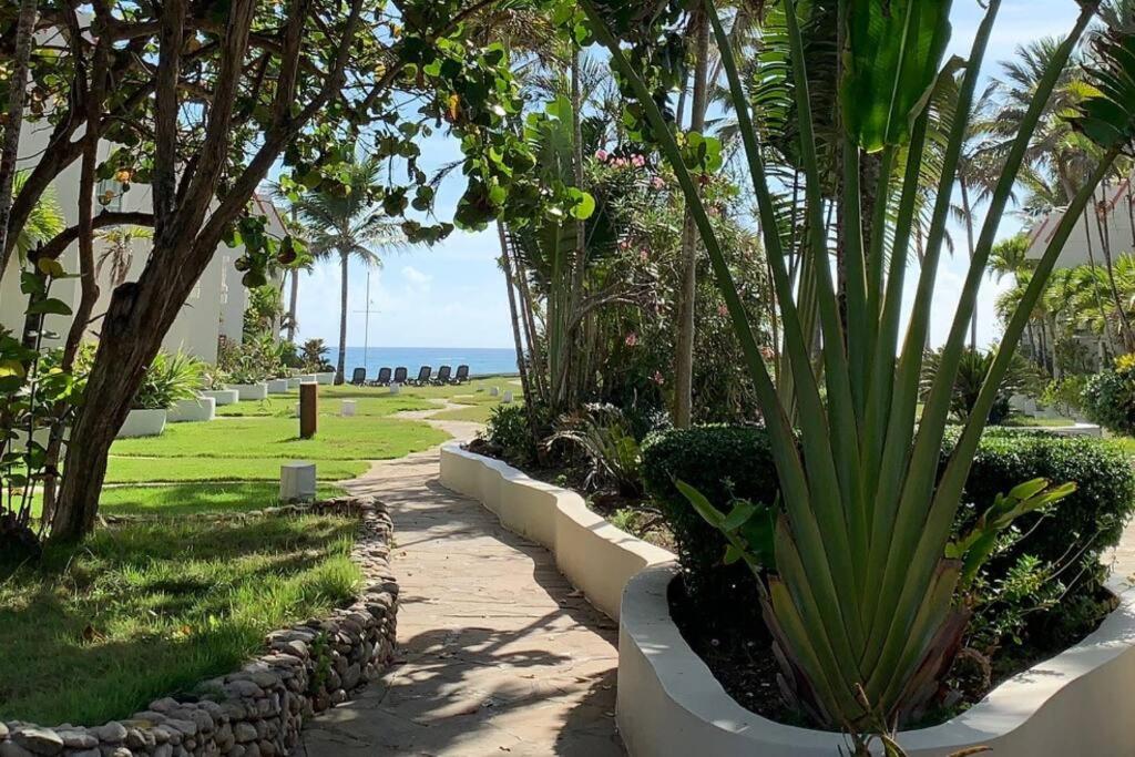 Cabarete Beachfront Condos Nanny Estate Unit C2 view 2