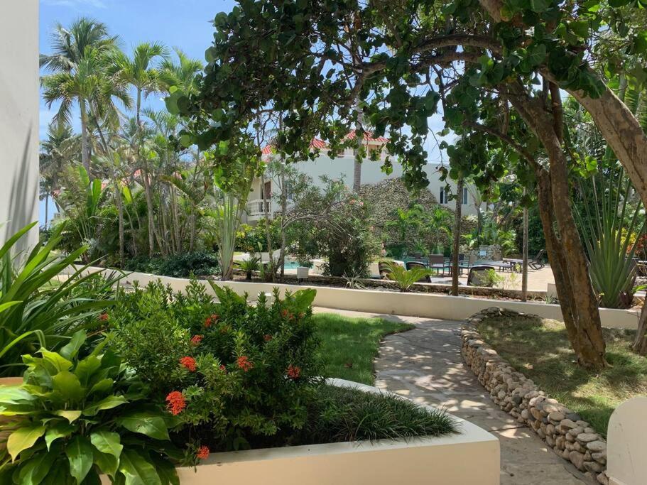 Cabarete Beachfront Condos Nanny Estate Unit C2 view 4