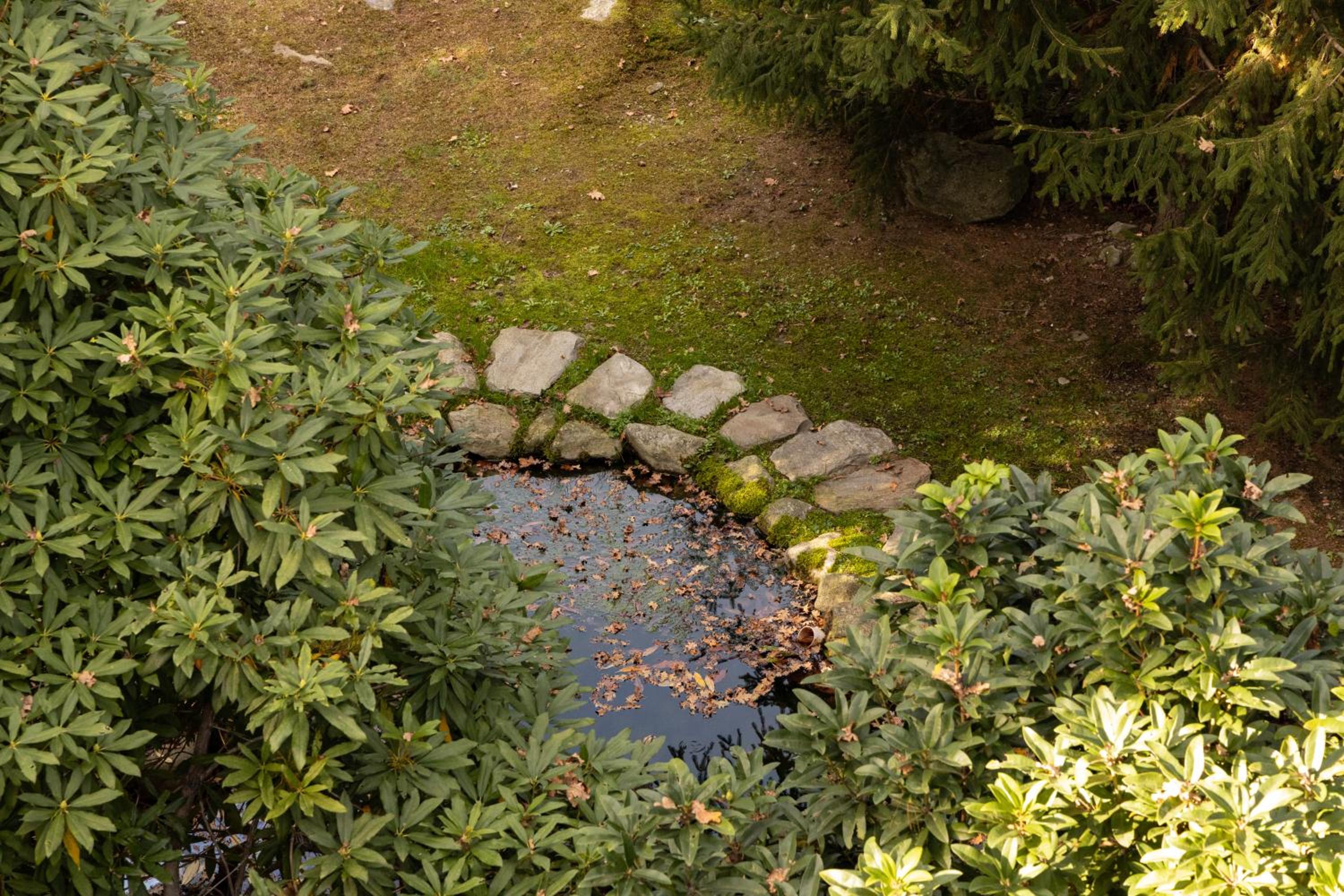 Photo 40