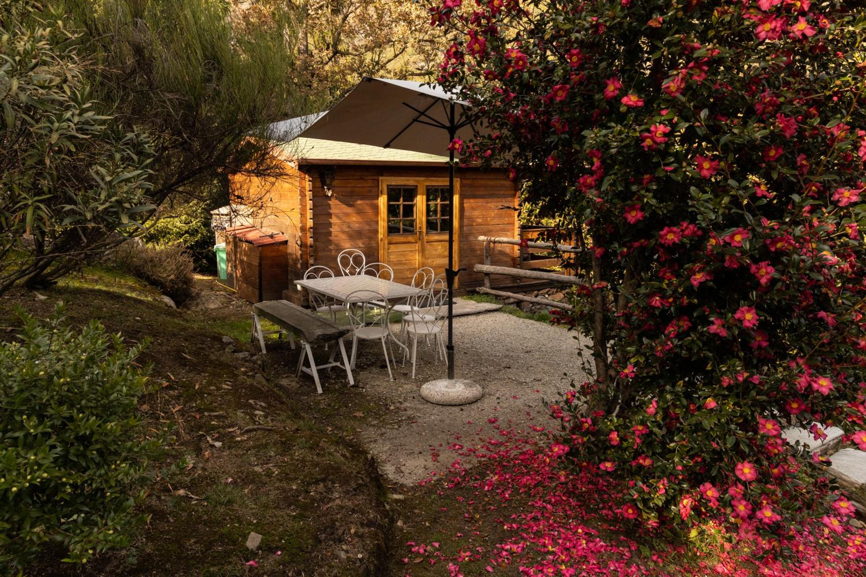 Eco-Resort Parco Botanico Fiorlago view 4