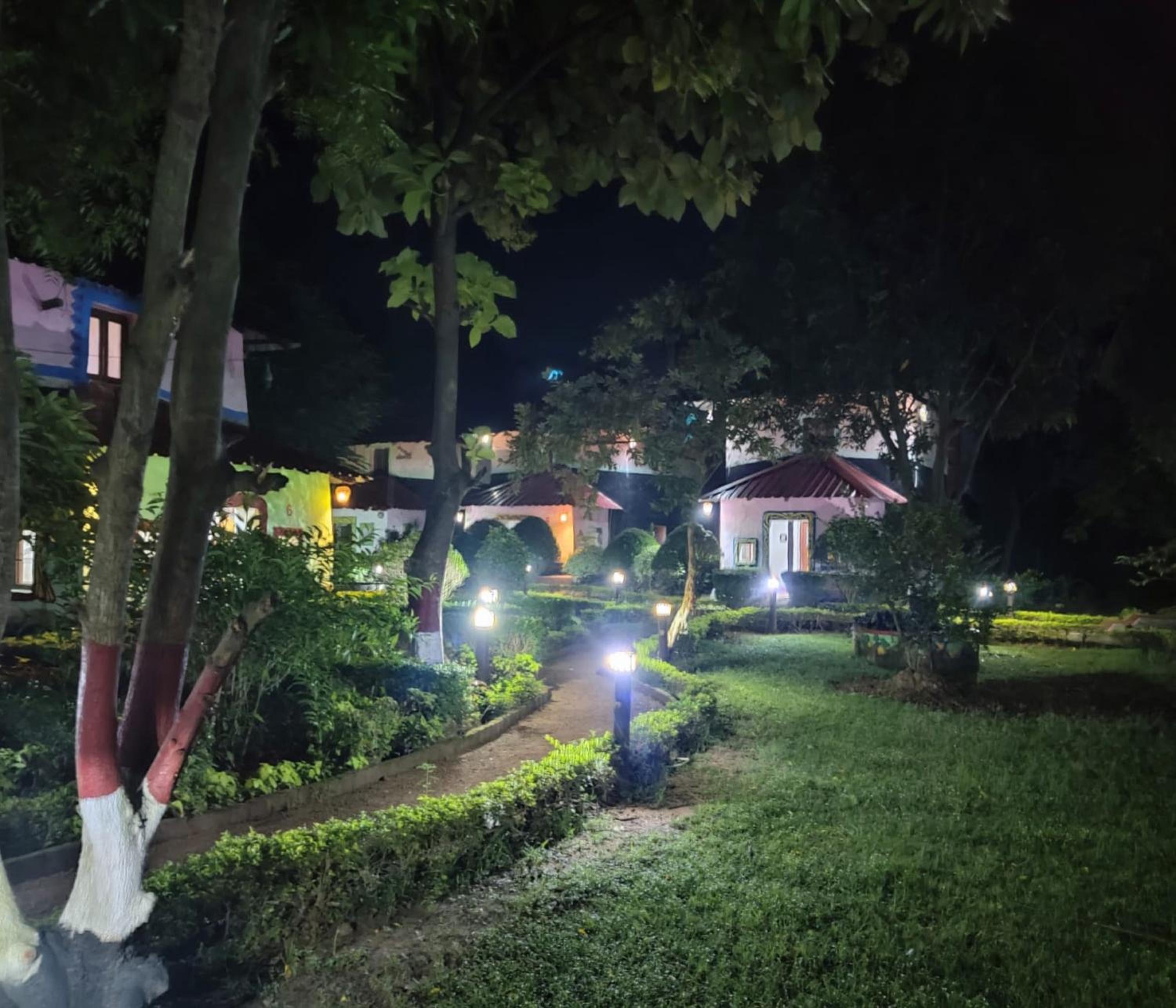 garden