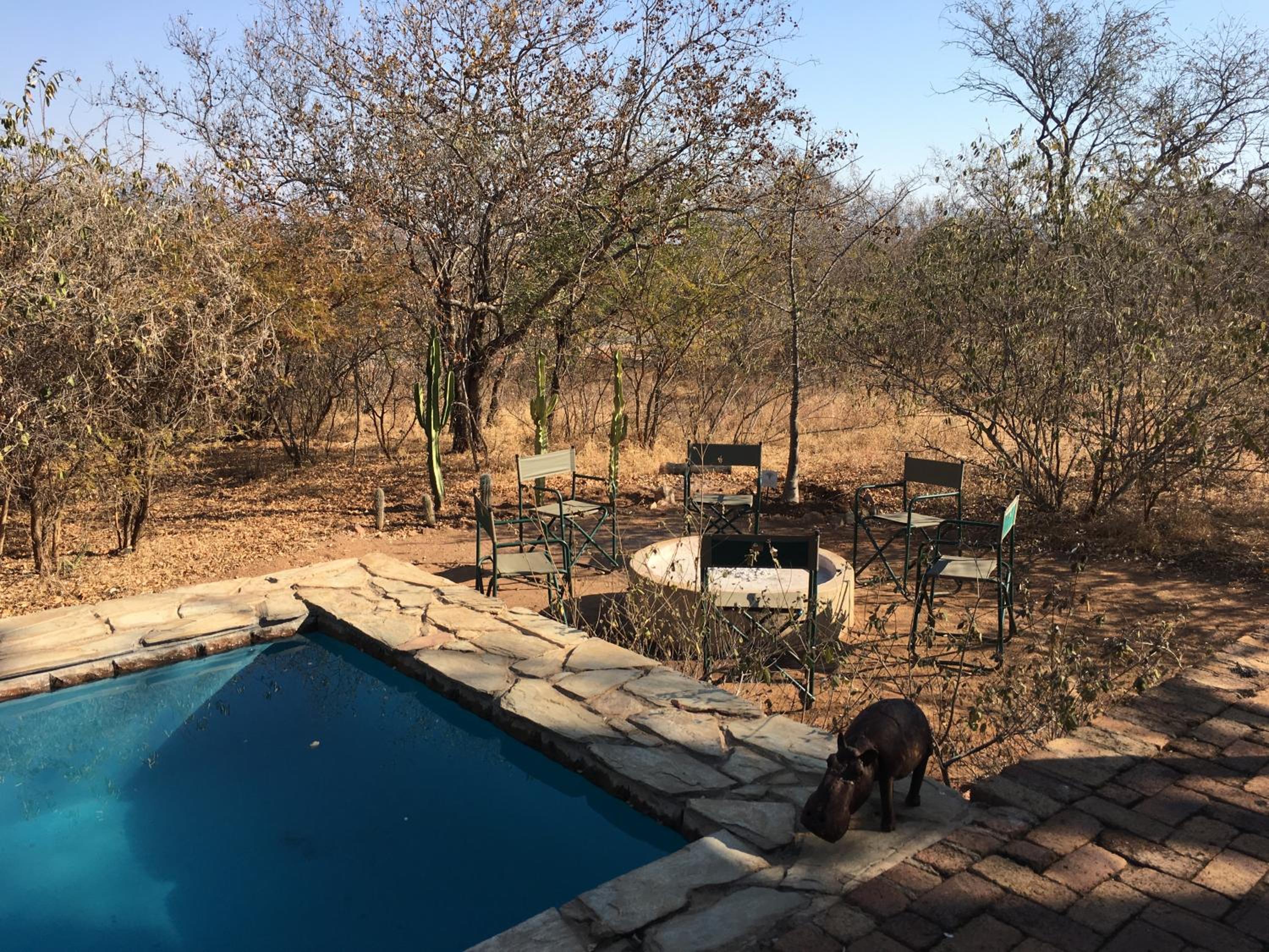 Giraffe Lodge