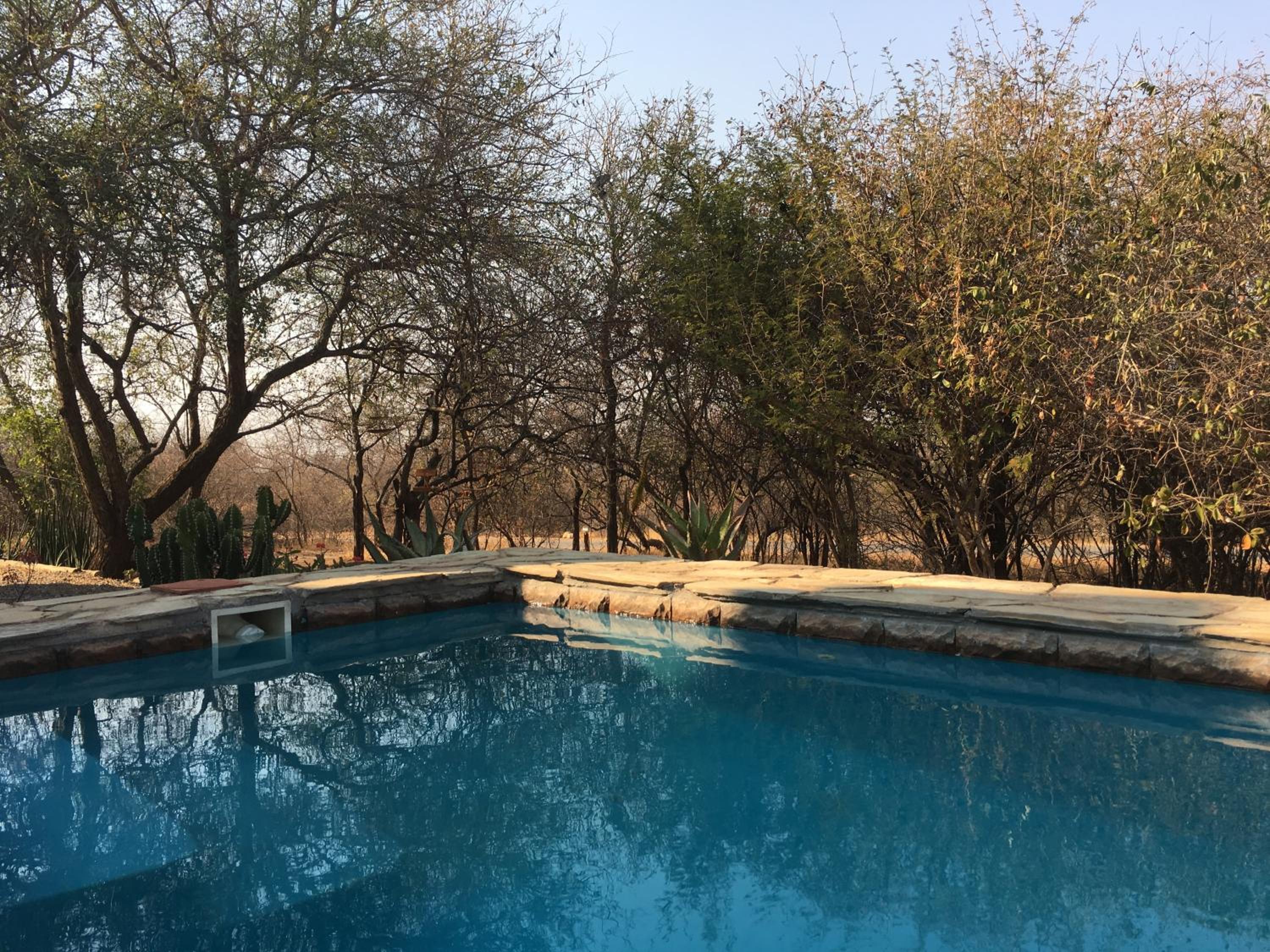 Giraffe Lodge