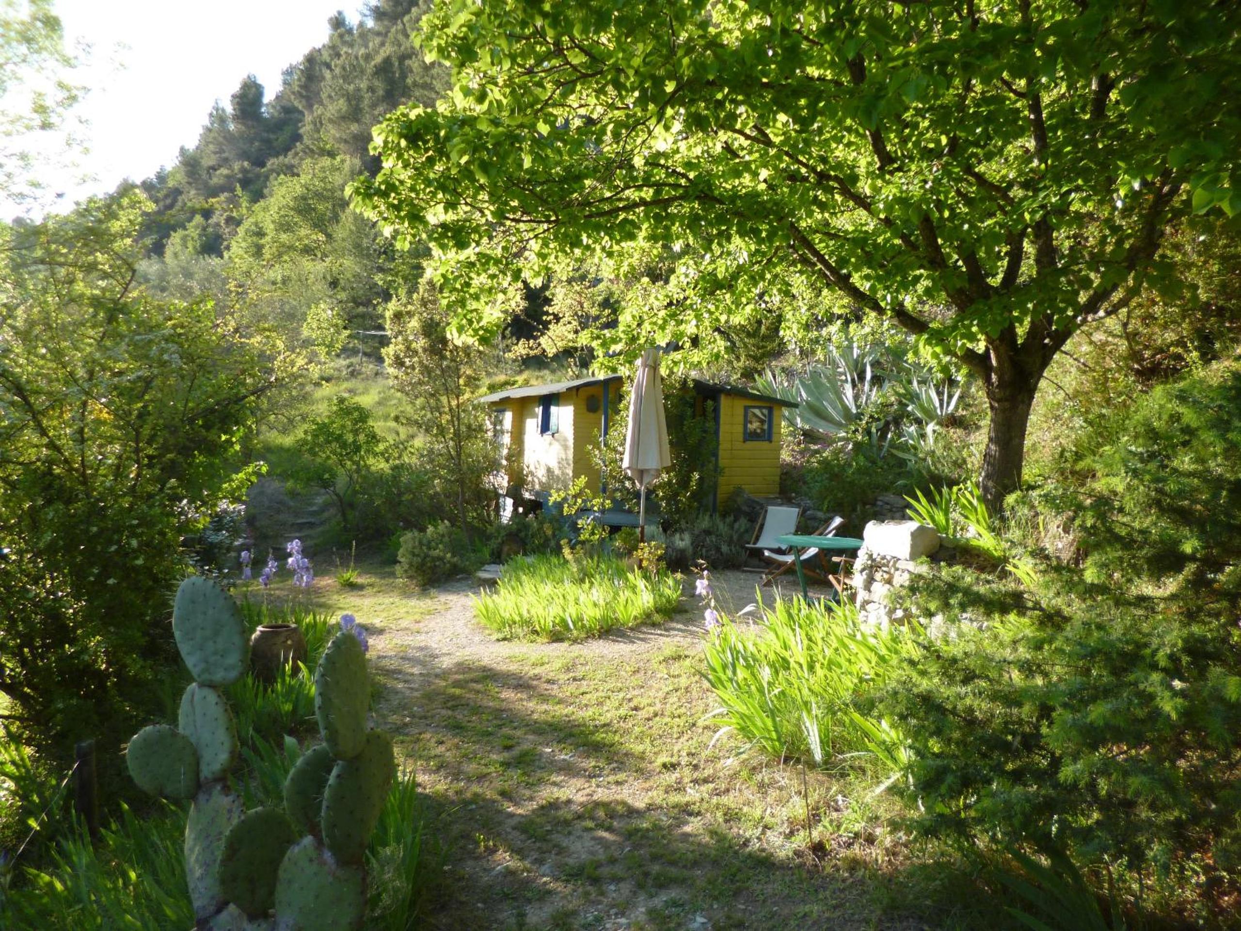 Photo 19