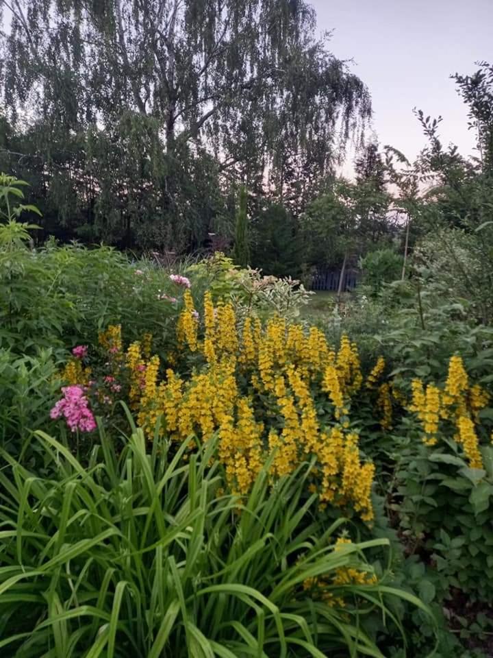 Photo 37