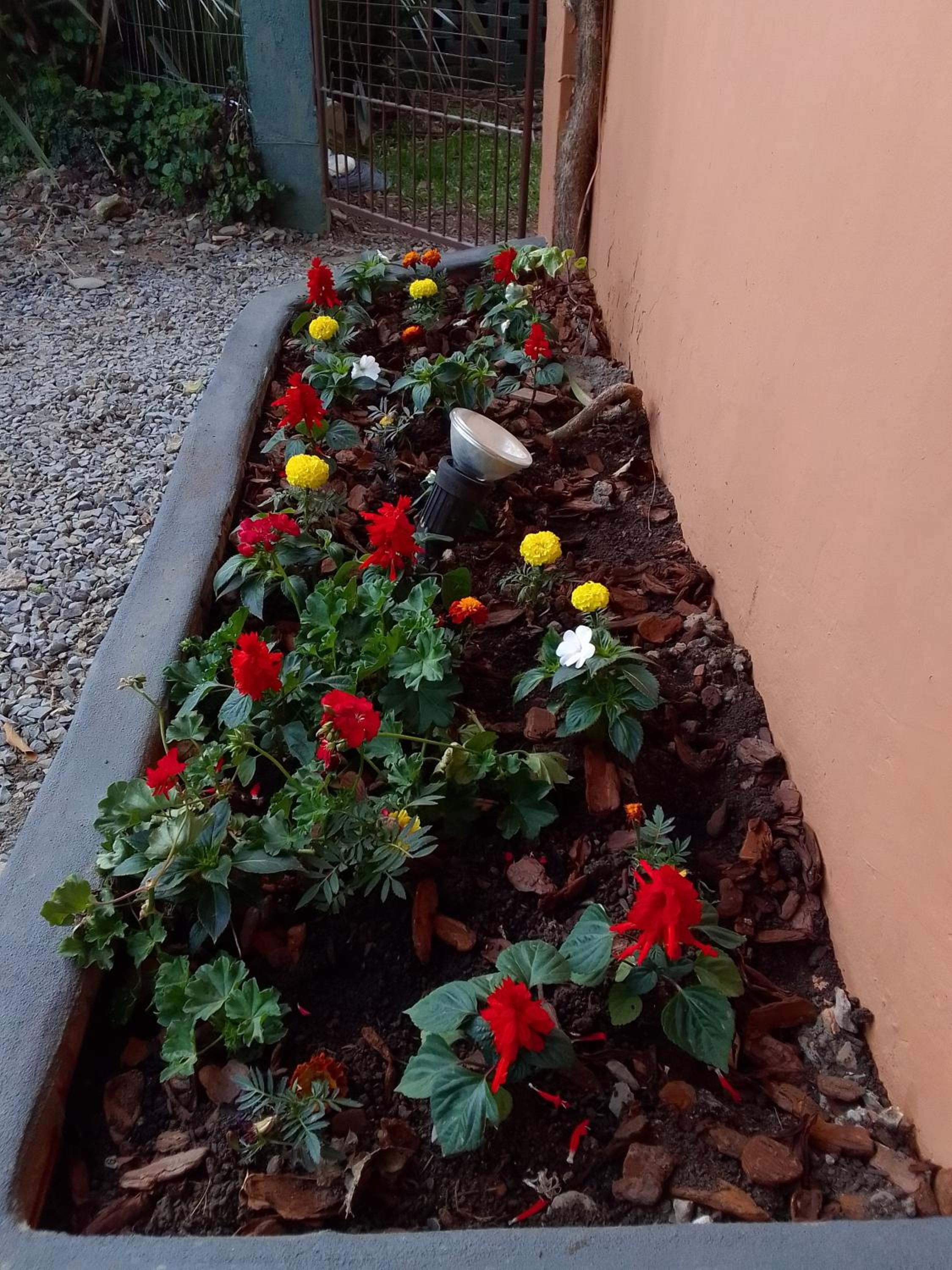 Photo 15