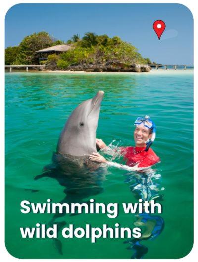 Tours In Mauritius including all Taxi Service photo 2