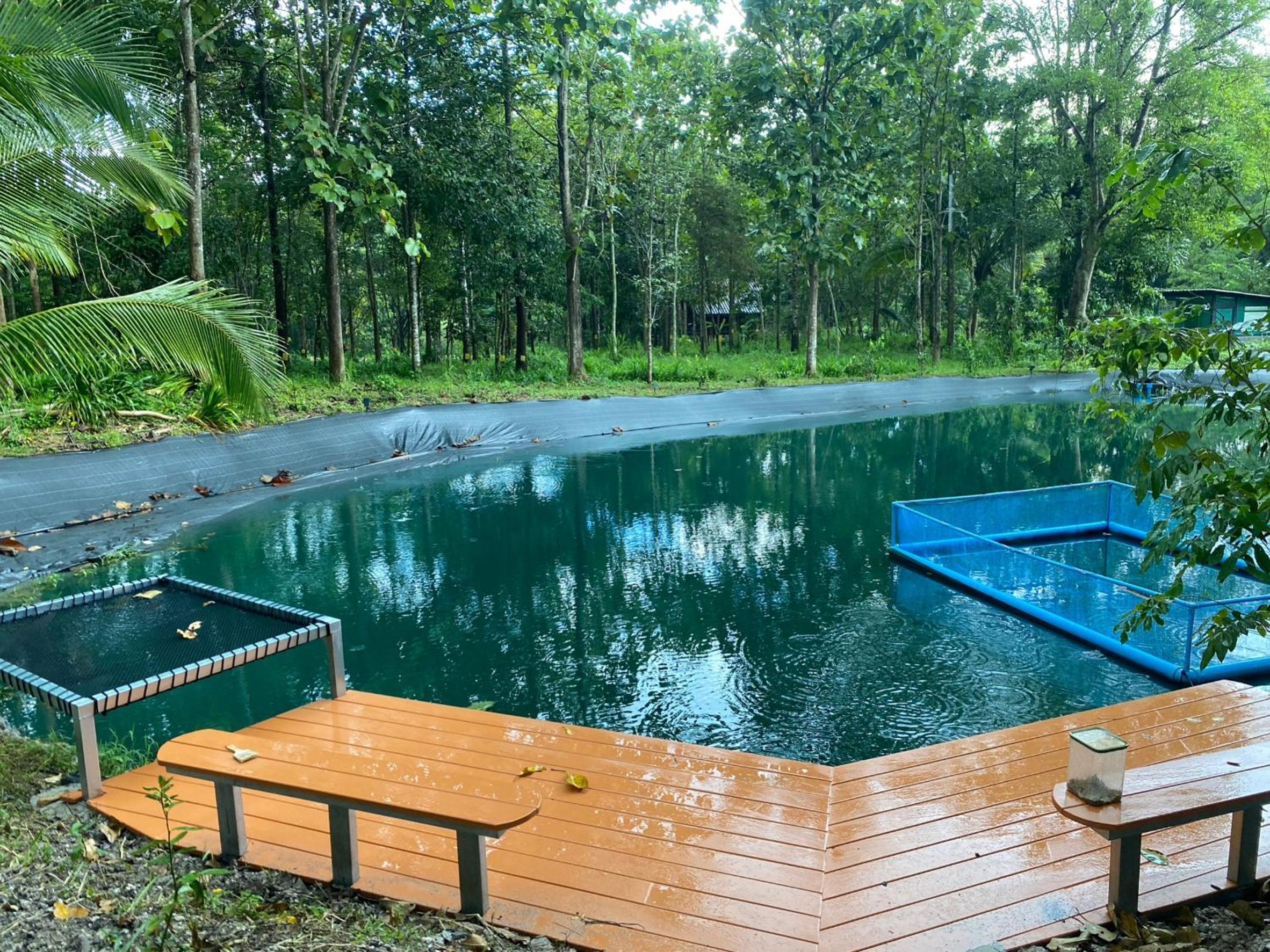 Wang Phu Phrai Farmstay view 5