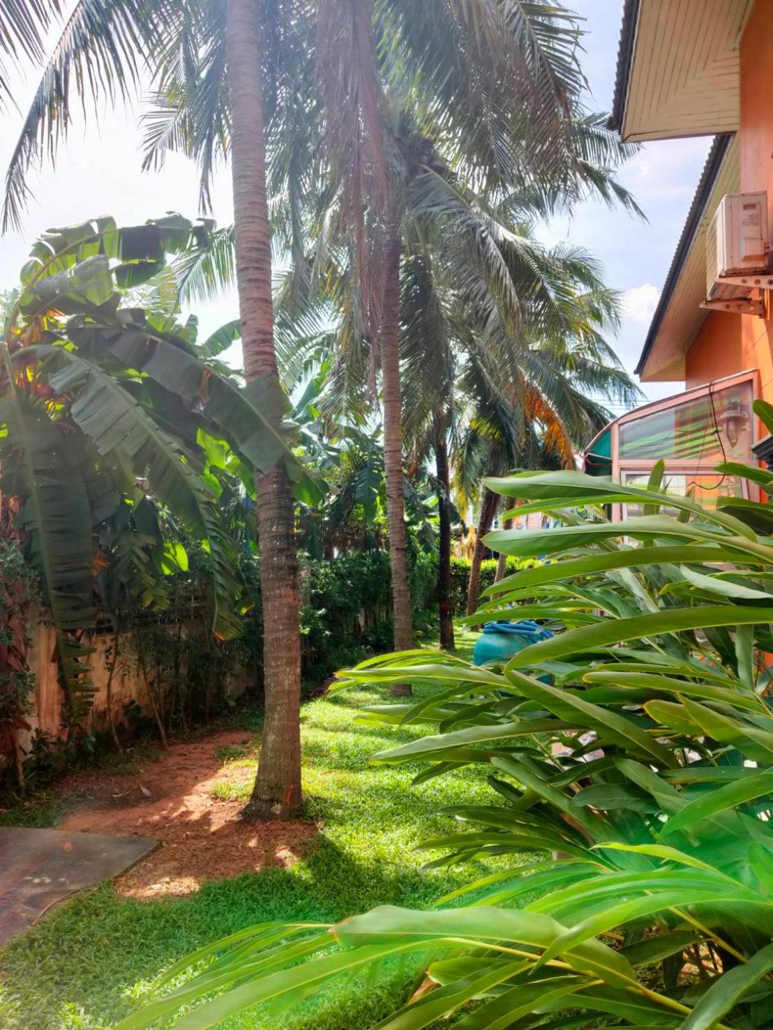 The Park Pool Villa Pattaya