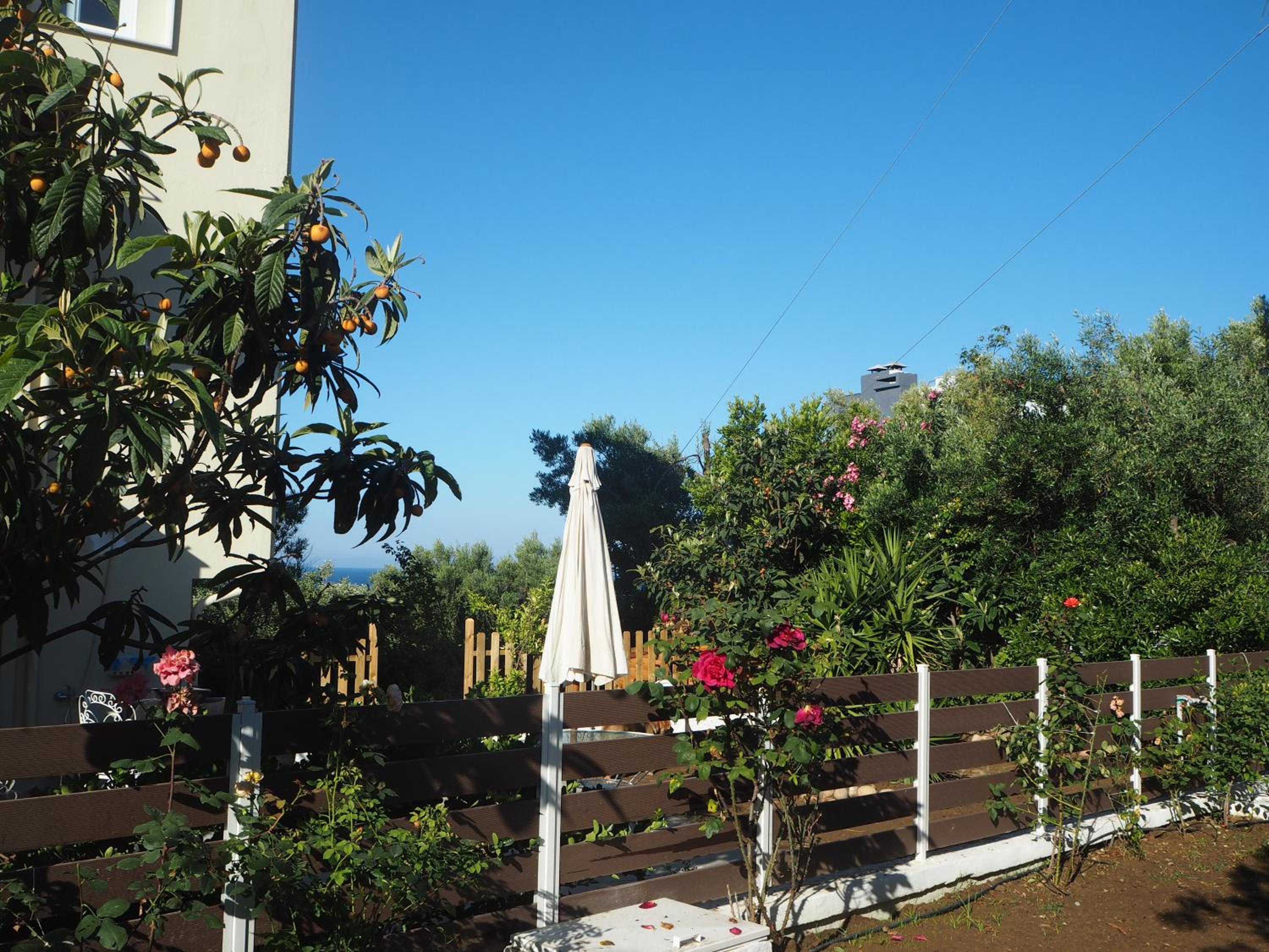 Herodicus villa