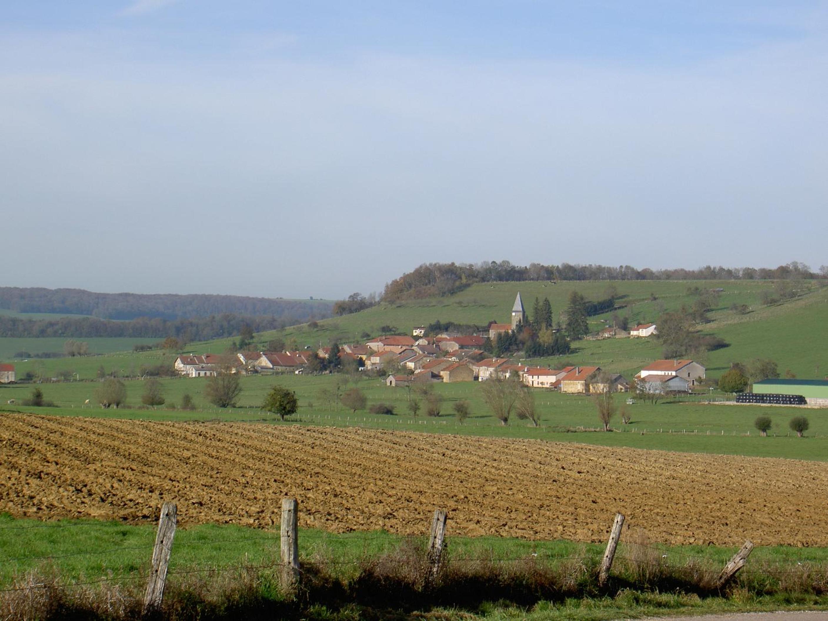 Photo 19