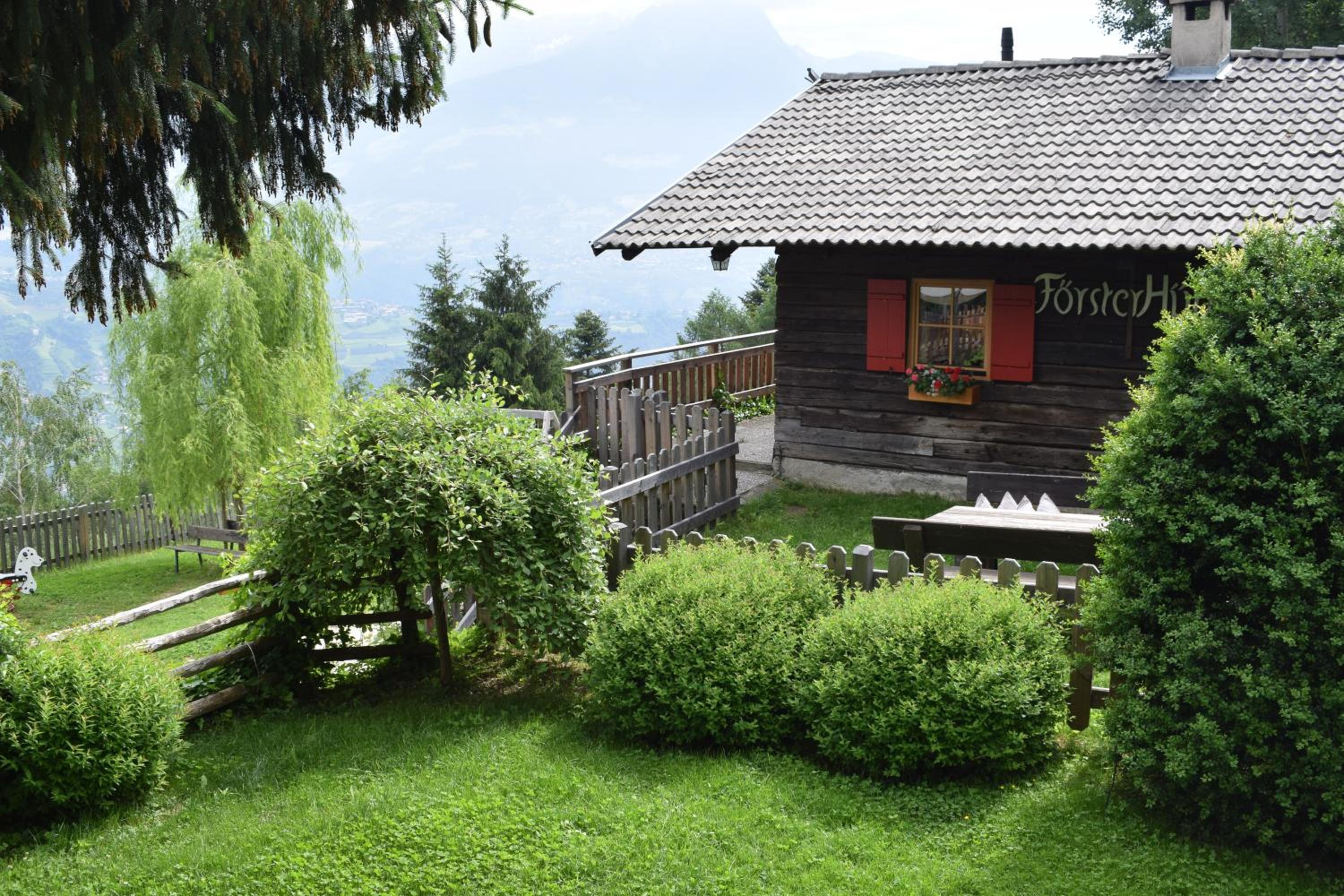 Brünnl's Försterhütte view 2