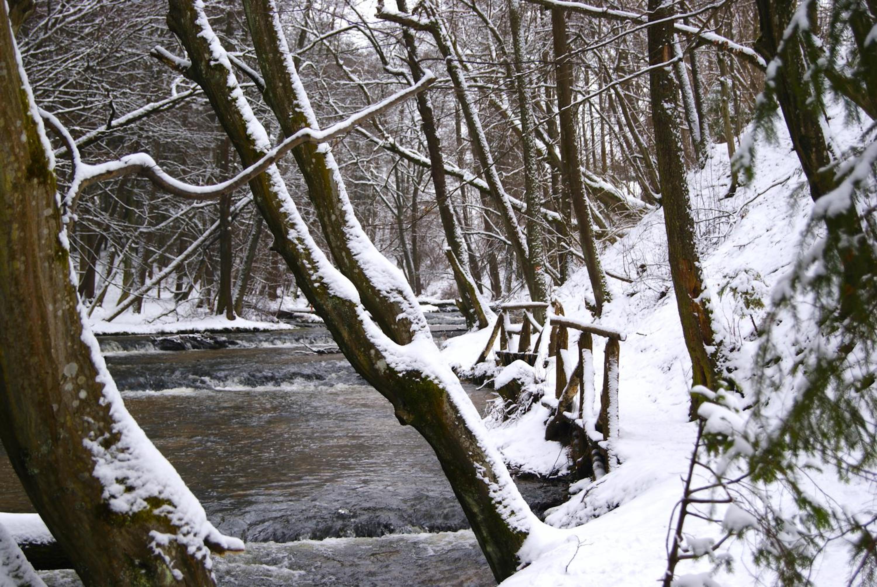 3pokoje - domek pod lasem na odludziu