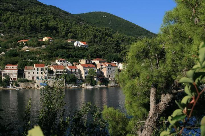 Photo 44
