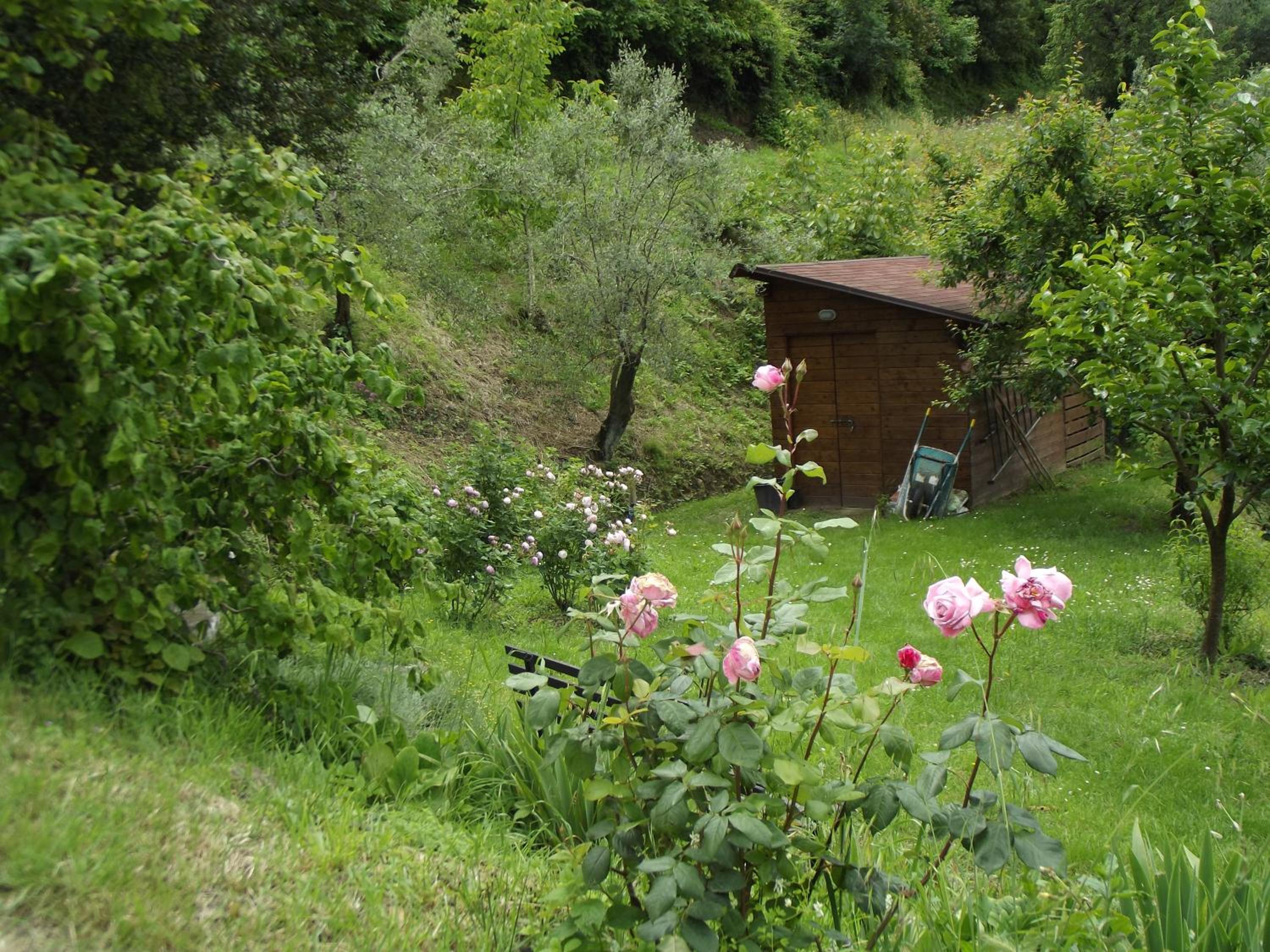Photo 41
