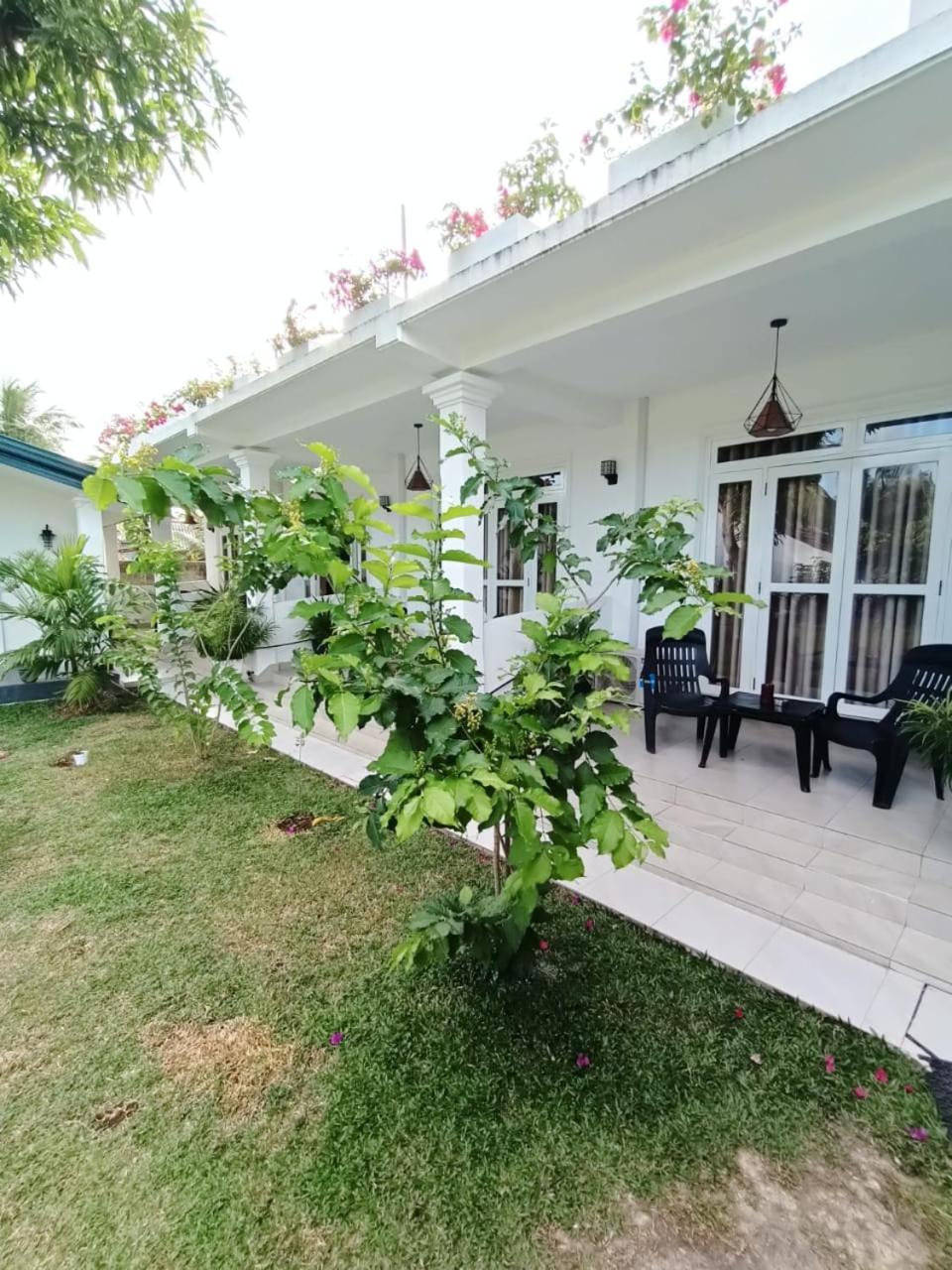 The Bamboo Tree Transit Hotel view 2