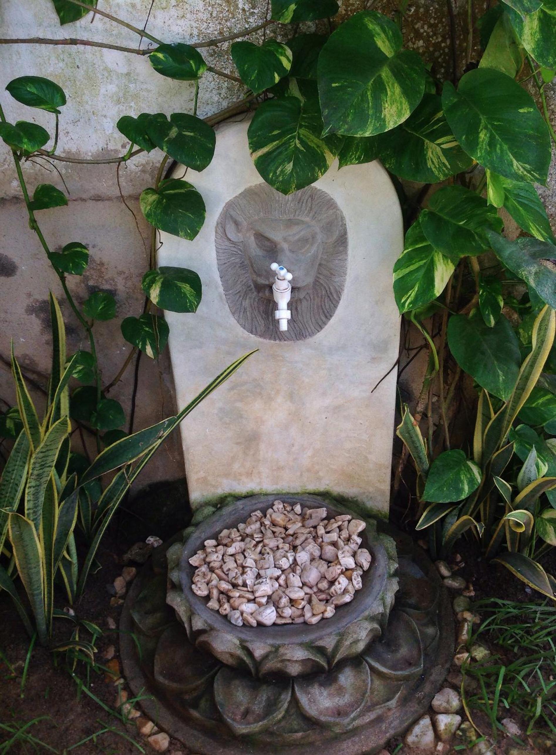 Photo 27