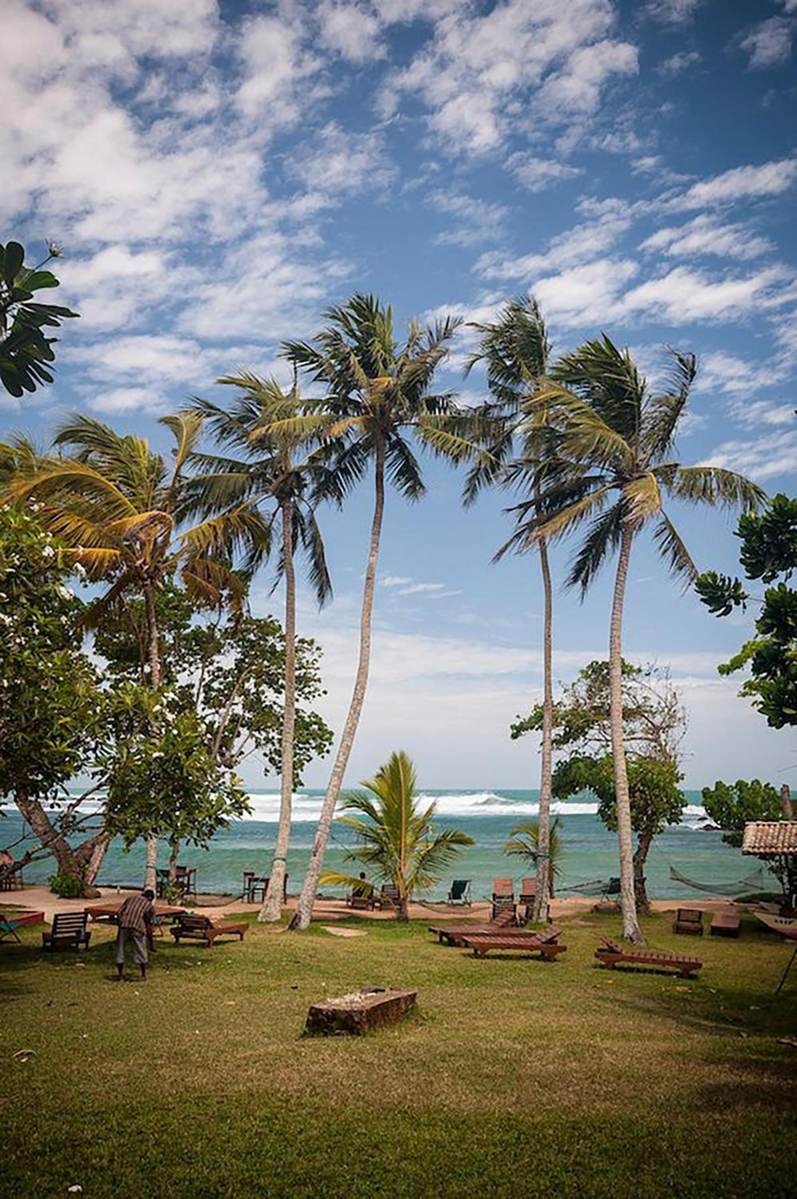 Palm villa Mirissa hotel&spa