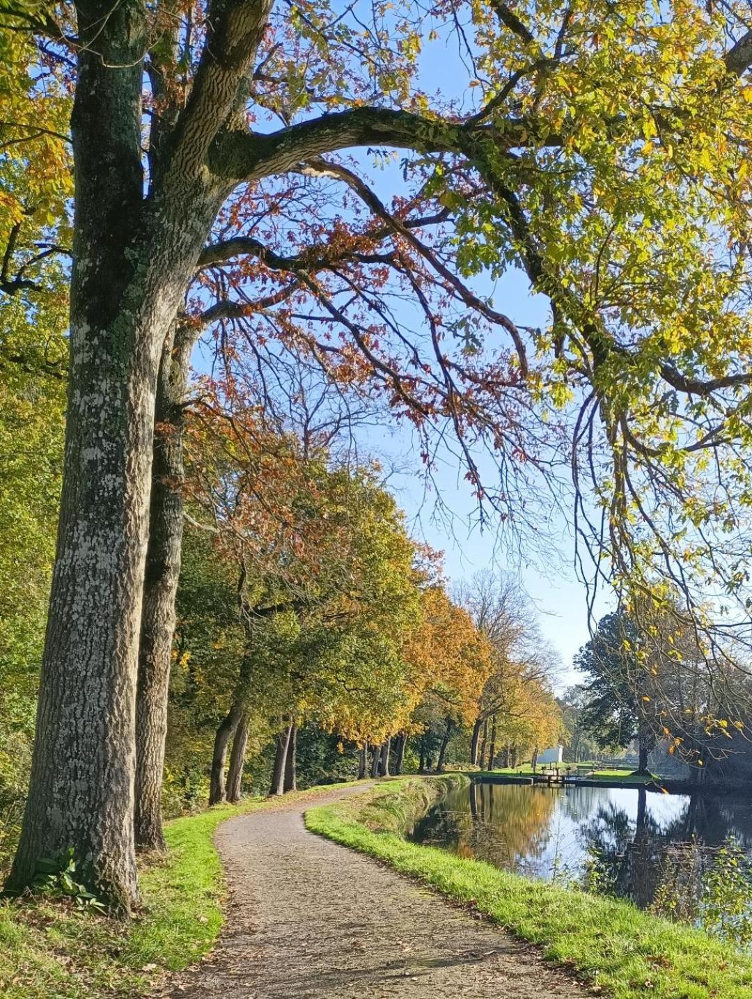 Central Brittany B and B view 5