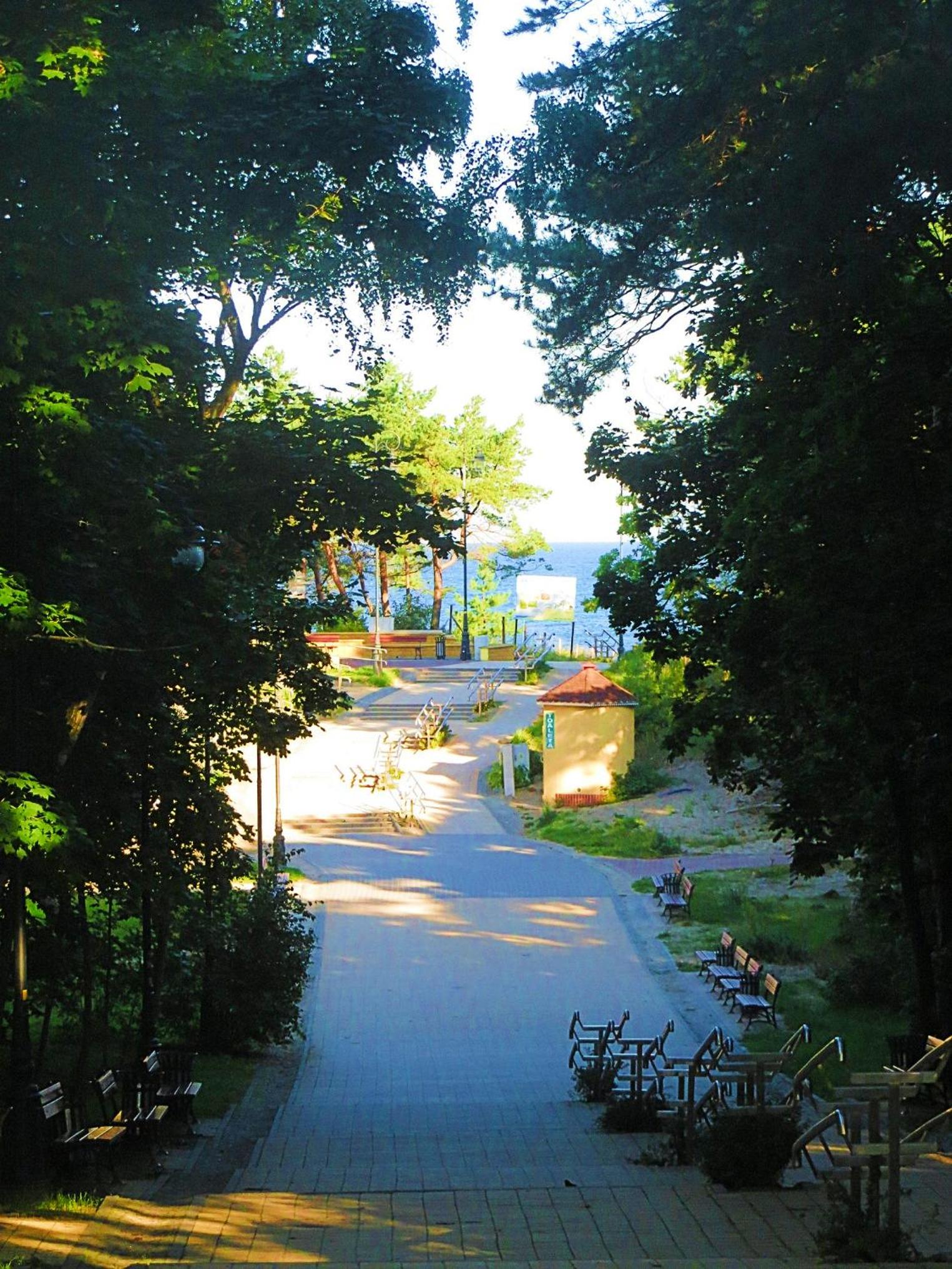 Photo 40