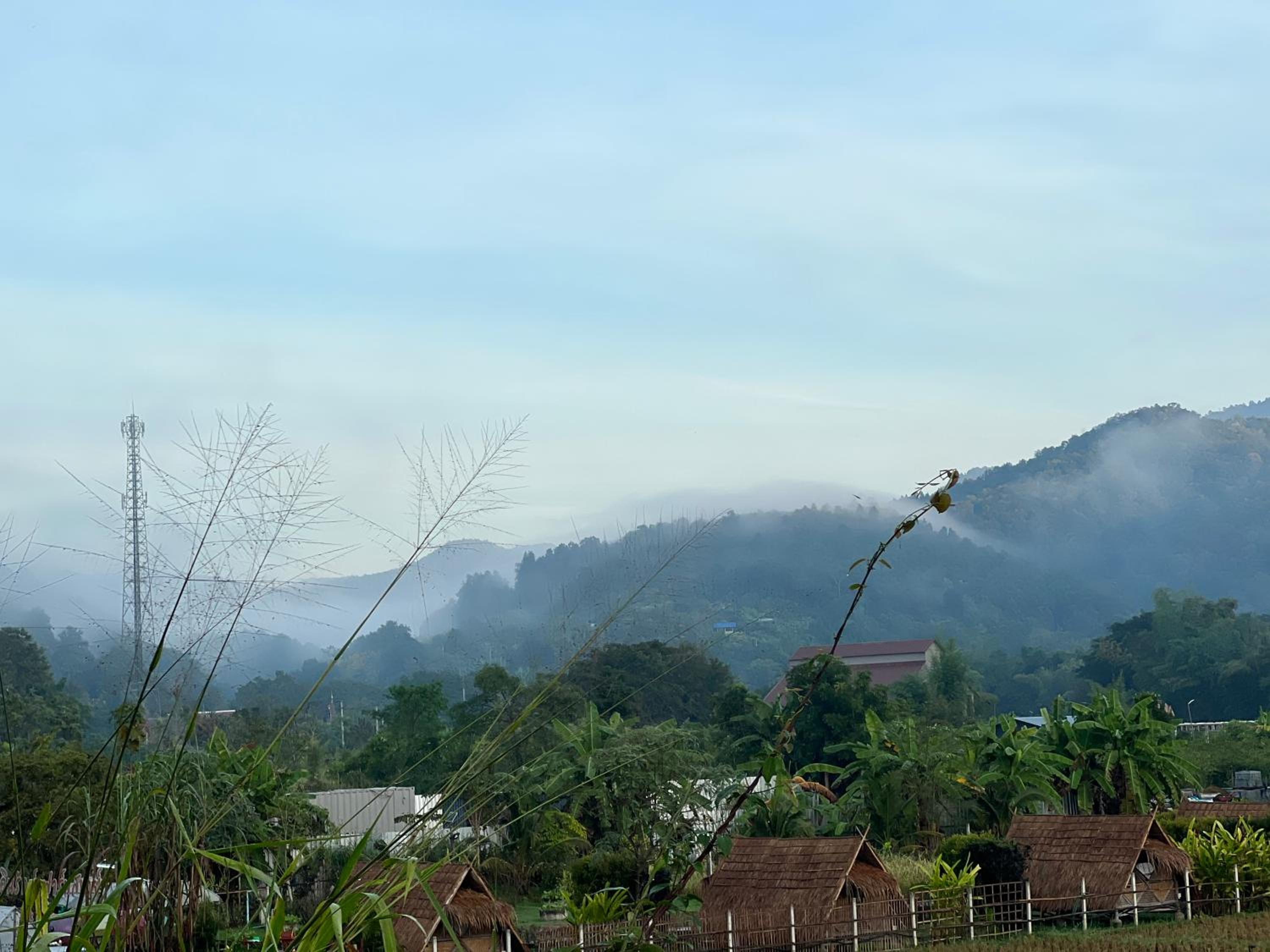 Ponginrak Farmstay