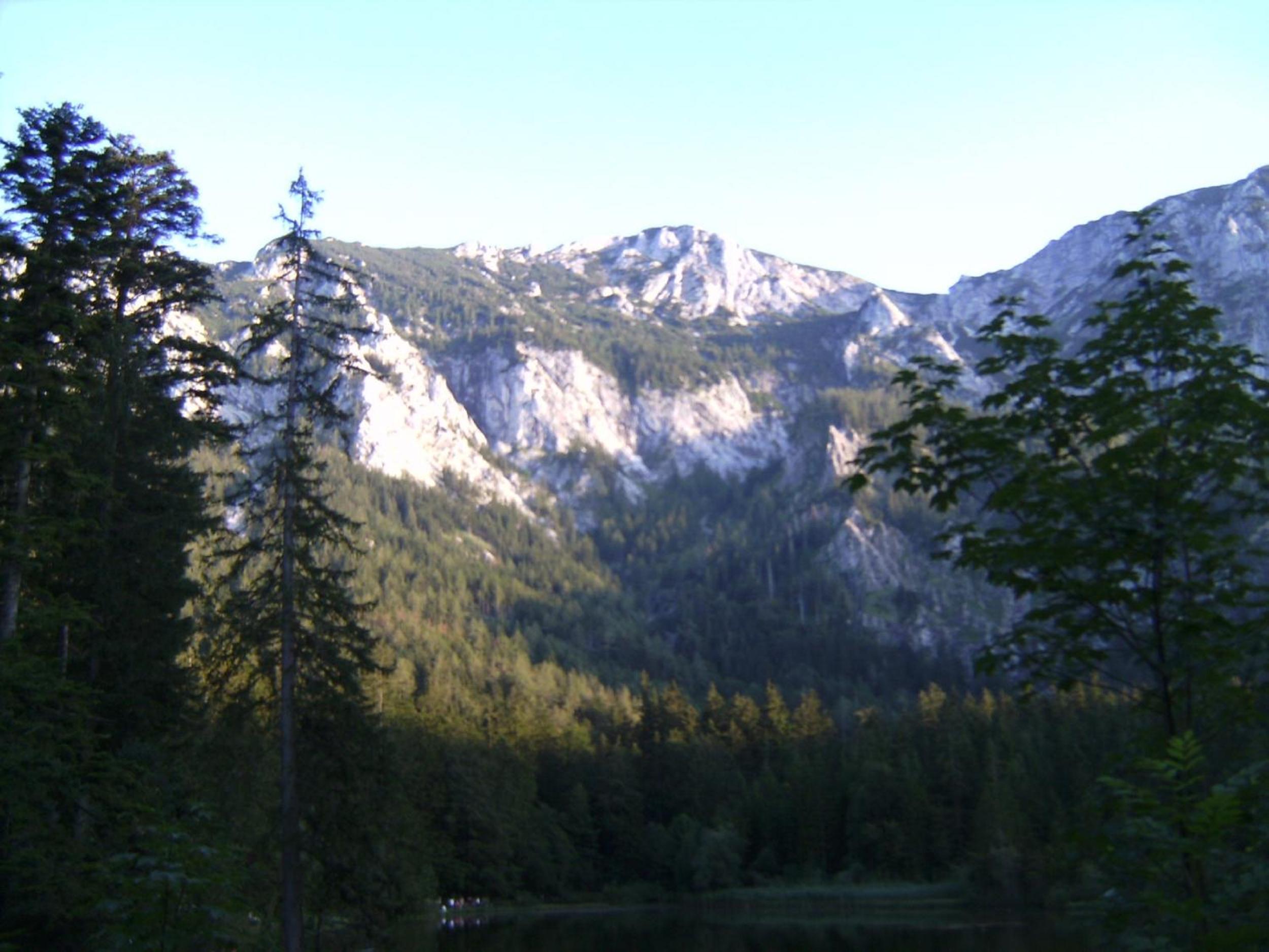 Feichtingerhof