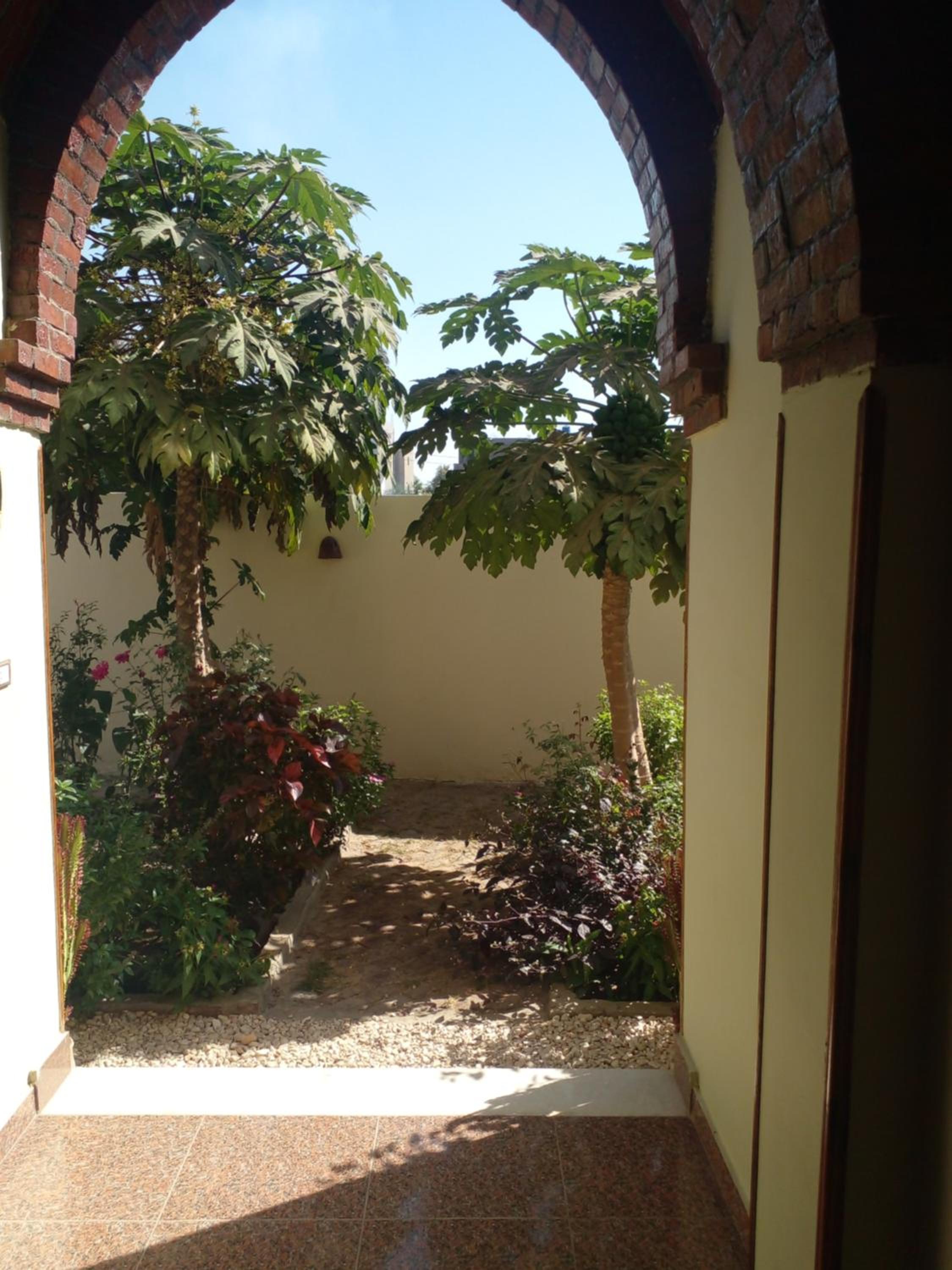 Tasneem Palace — photo 56